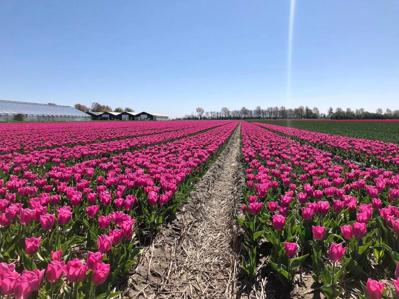 Natural landscape in B&B de Cley