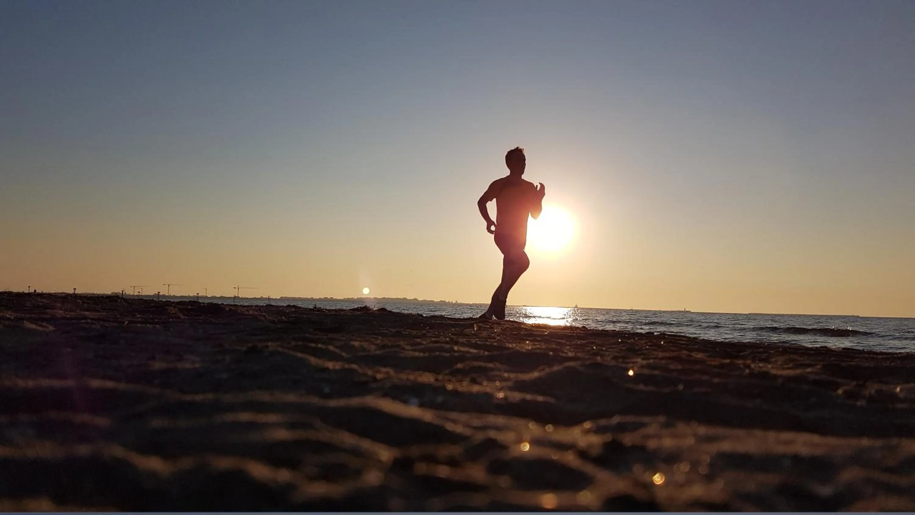 Activities in Hotel Los Delfines