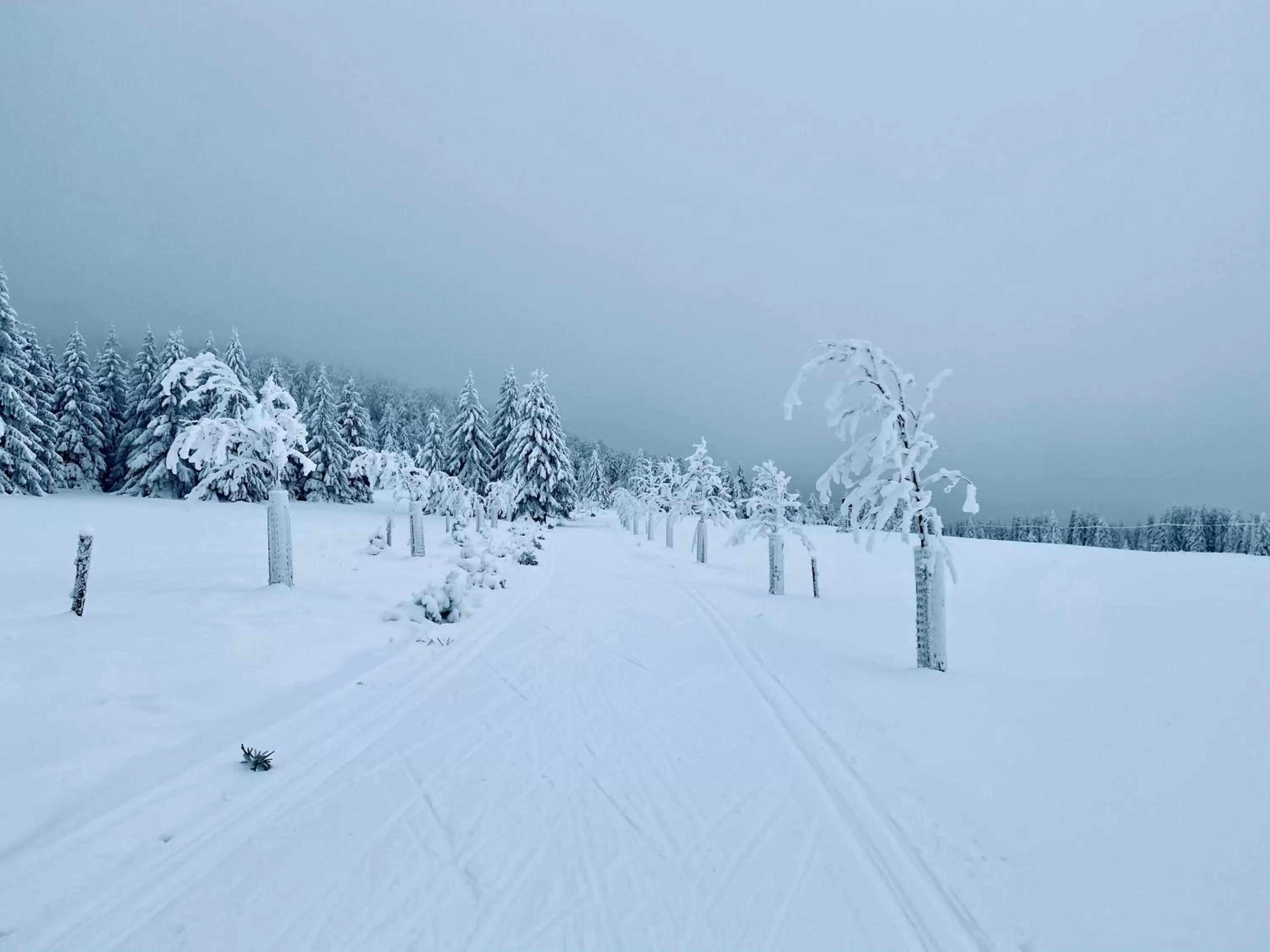 Natural landscape in Vila Jáchymov