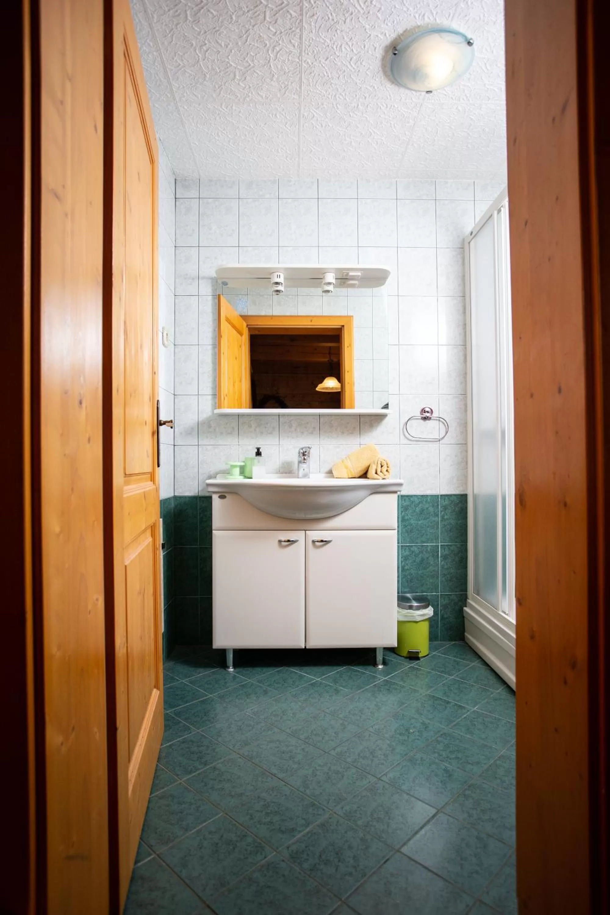 Shower in Korošec Apartments and Wellness Centre