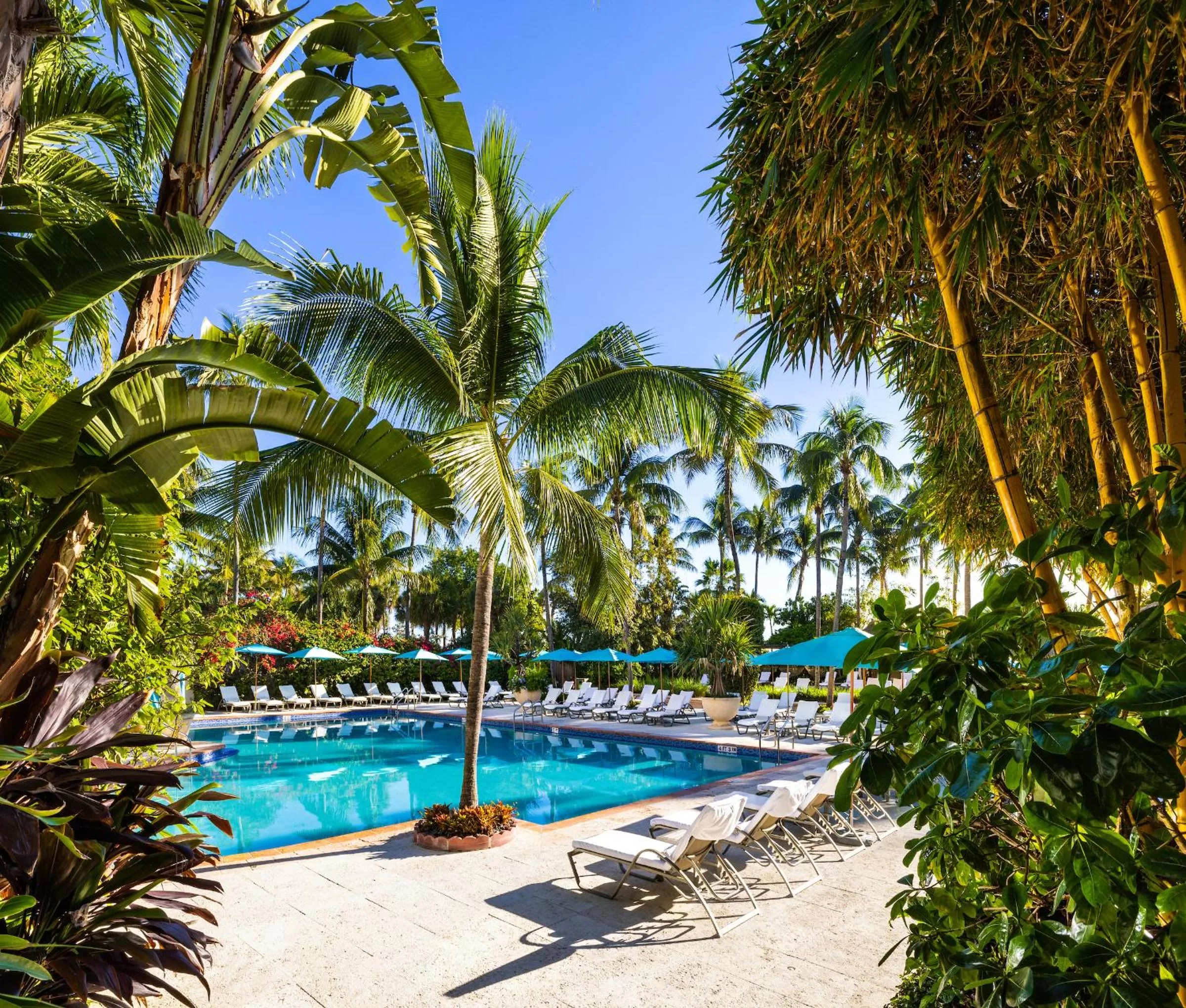 Garden in The Palms Hotel & Spa