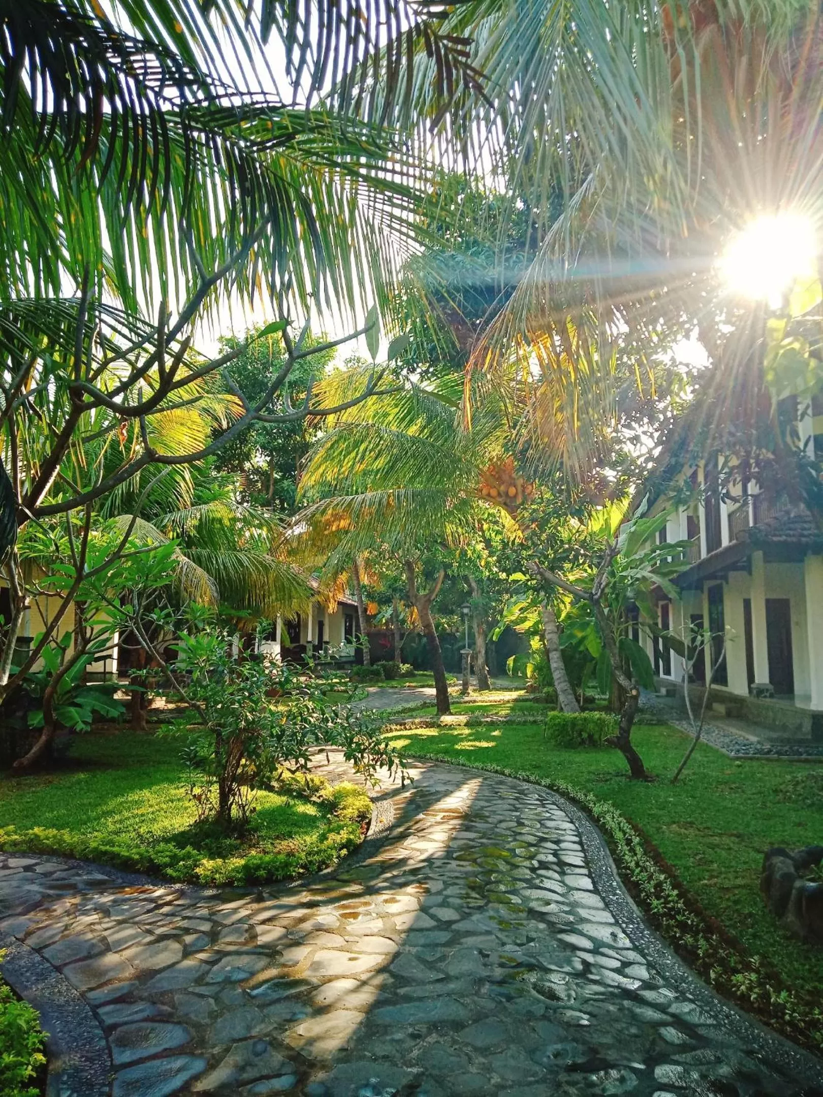 Property building in Rini hotel