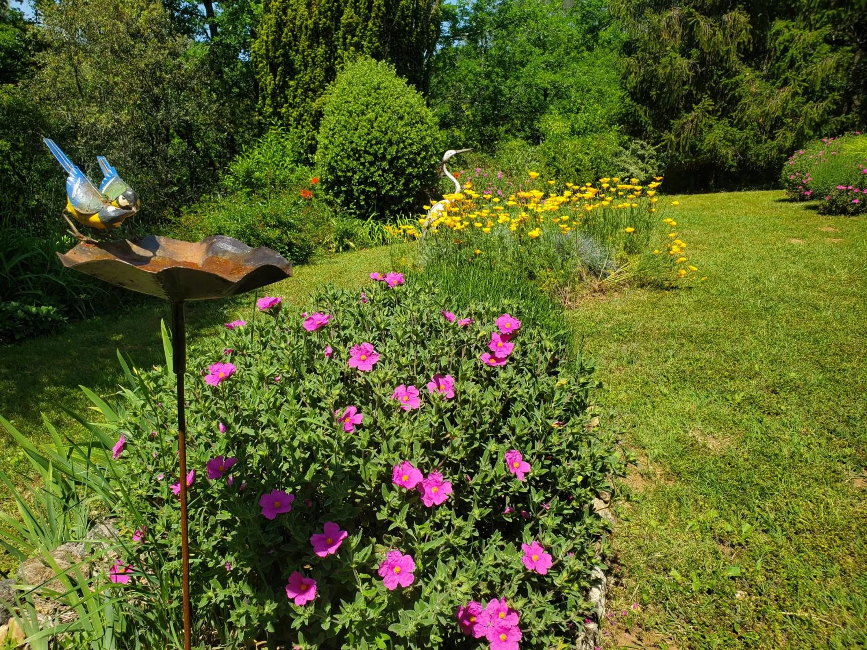 Garden in Aux Couleurs d'Esteil