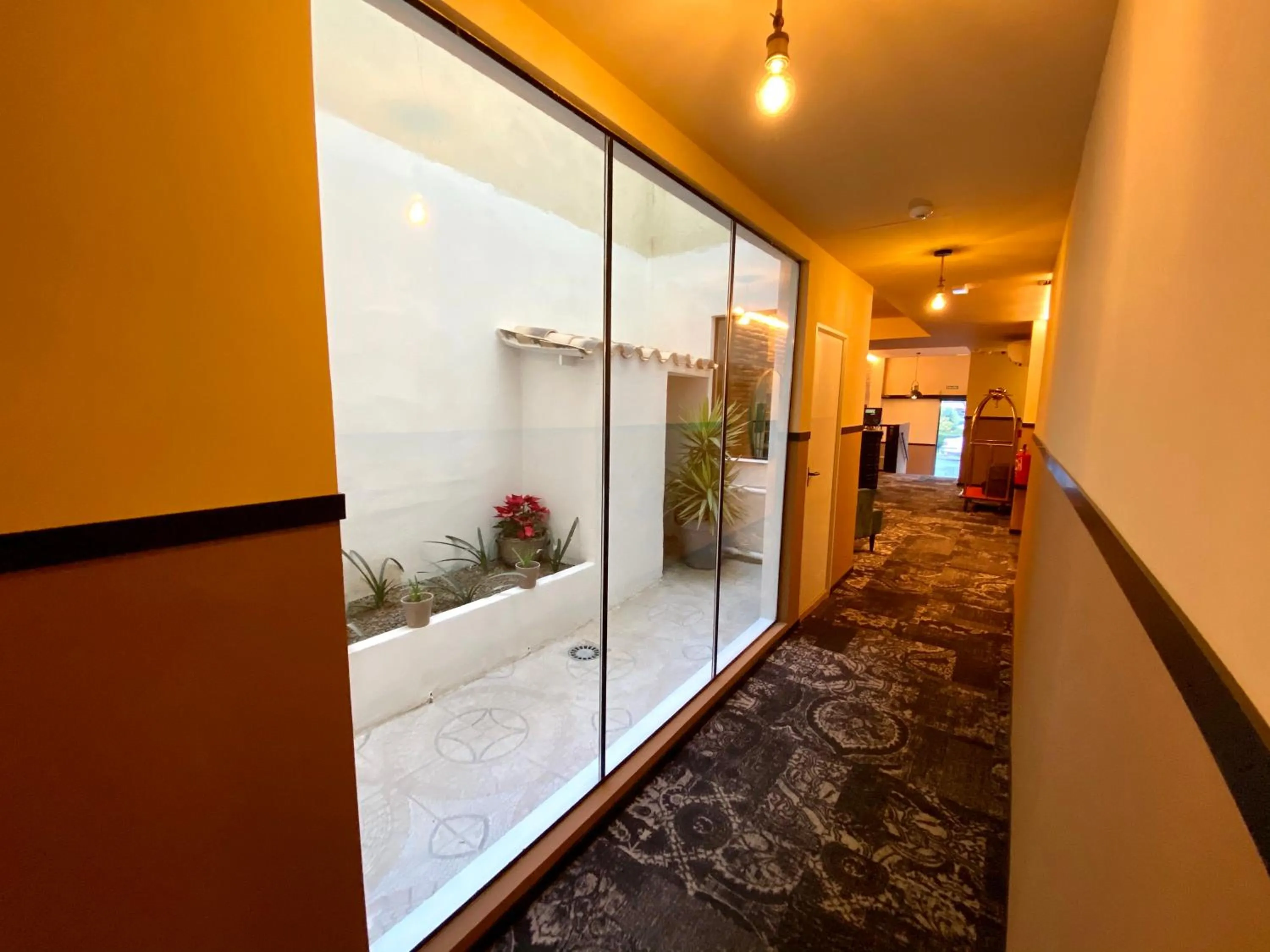 Garden view in Hografic Hotel