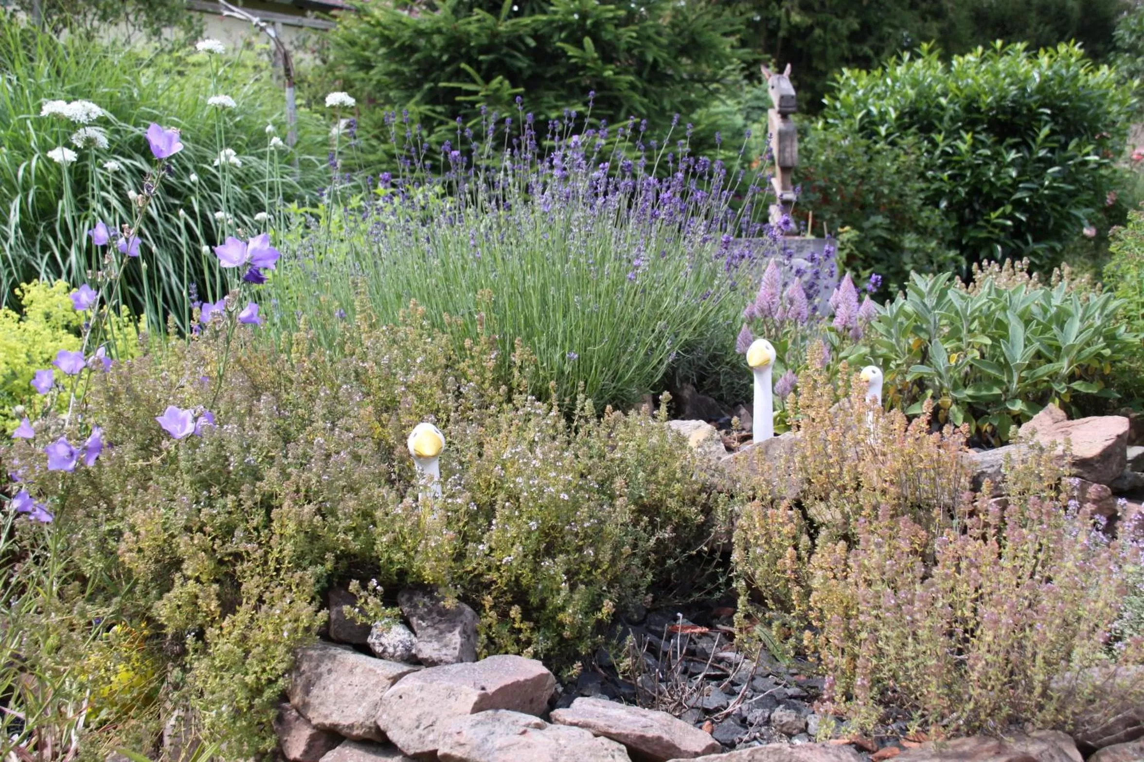 Garden in mein kleinHOTEL