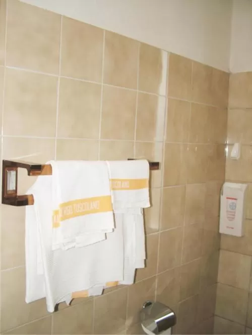 Toilet in Hotel Tuscolano