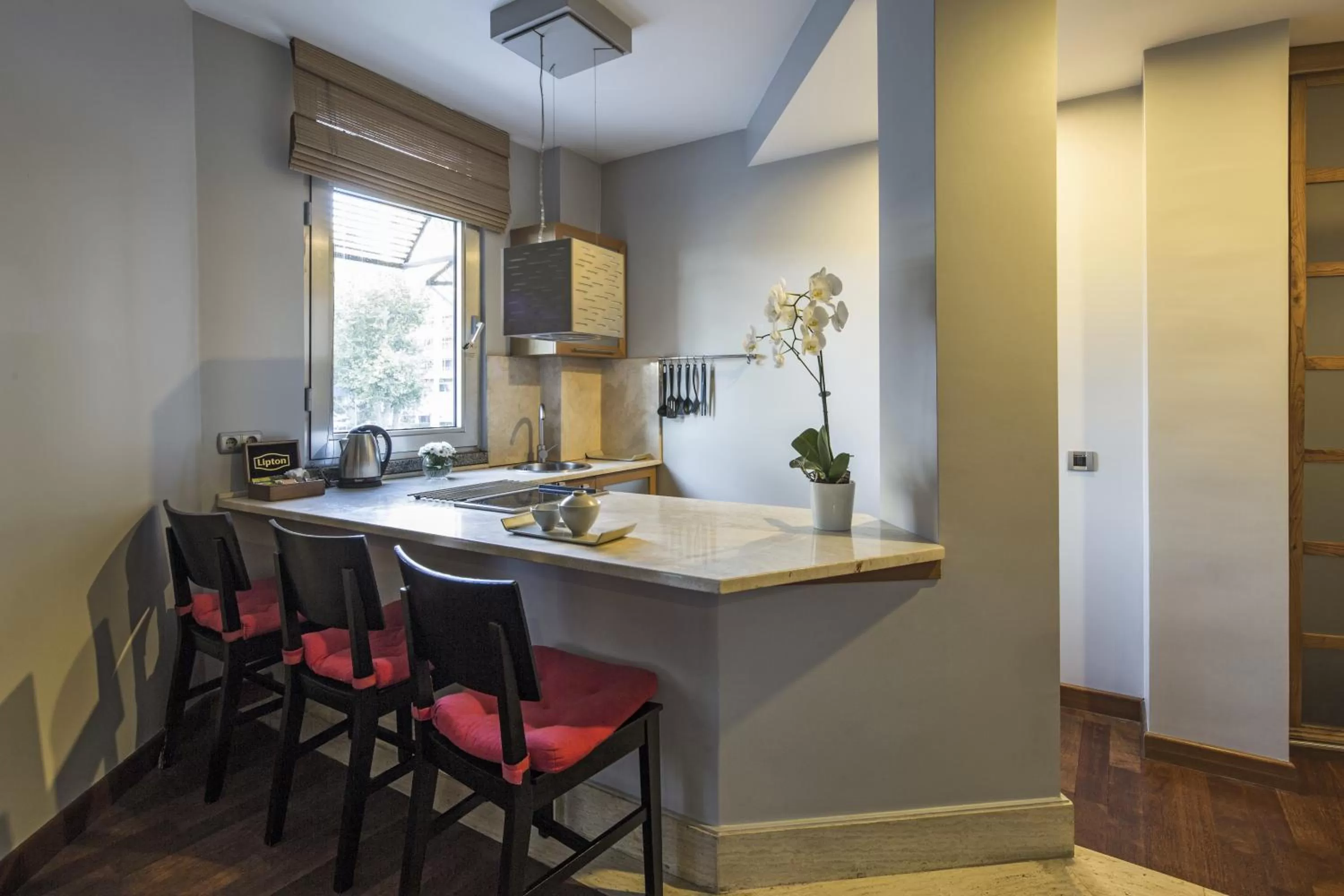 Kitchen or kitchenette in Taxim Suites Residences Istanbul