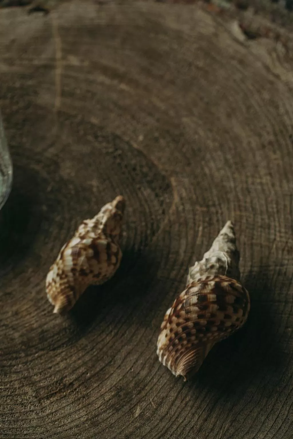 Decorative detail in Santa Barbara Eco-Beach Resort
