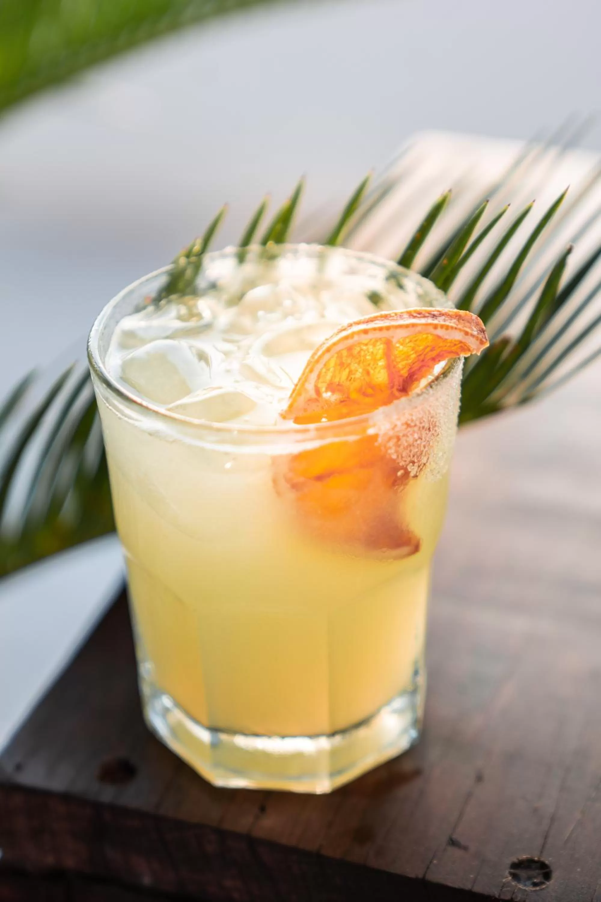 Food and drinks in Albatros by Bedsfriends