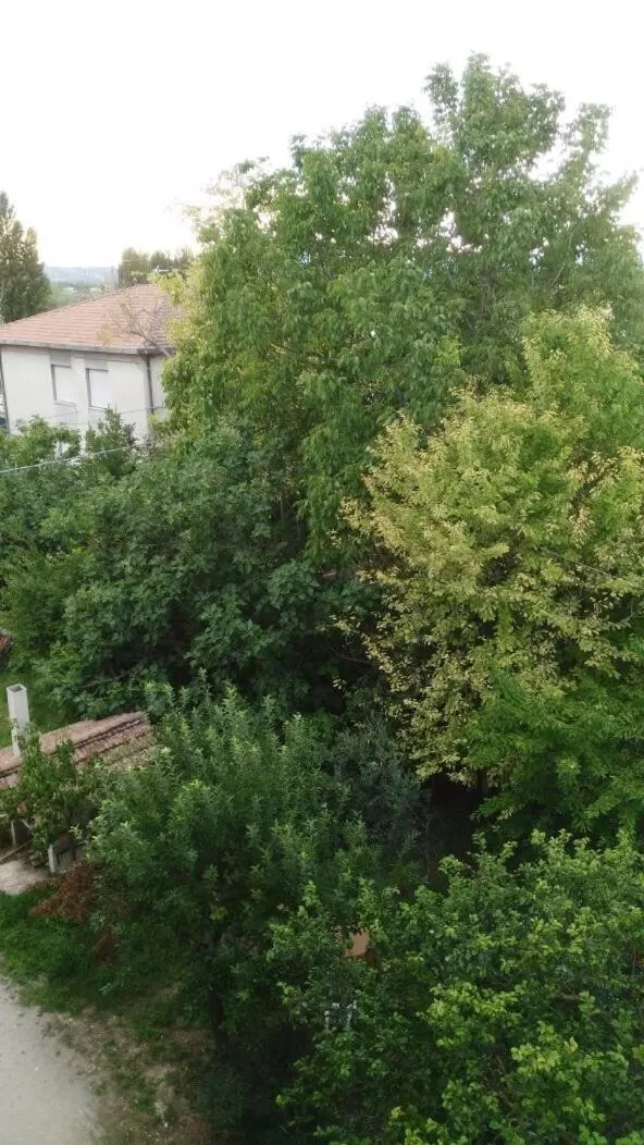 View (from property/room) in Il Giardino del Gallo