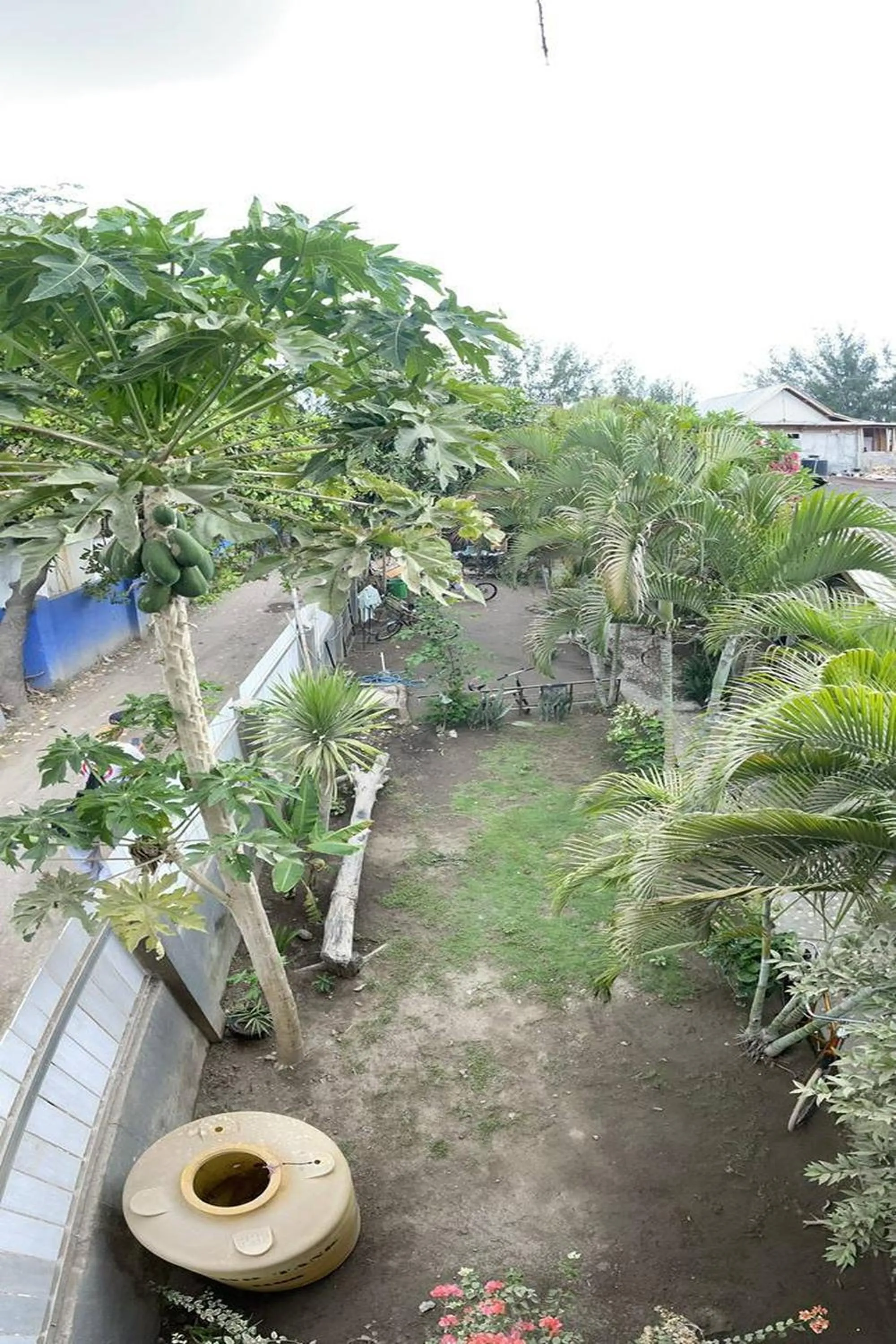 Property building in Sagita Bungalow