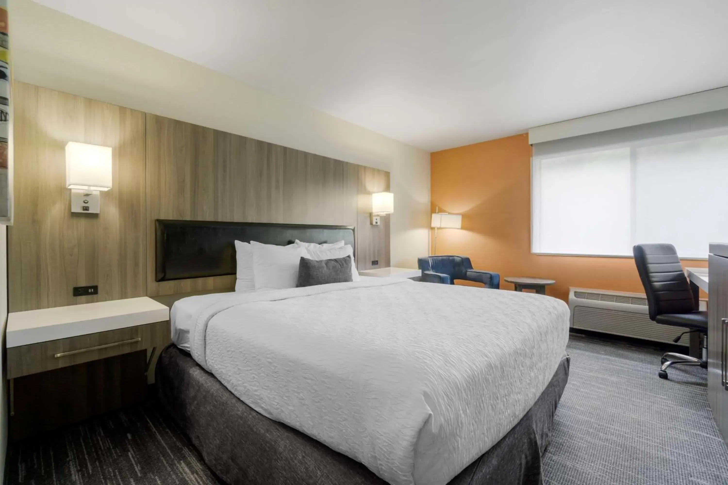 King Room with Mobility Accessible Tub and Roll in Shower in Best Western Plus Renton Inn King Room with Mobility Accessible Tub and Roll in Shower in Best Western Plus Renton Inn