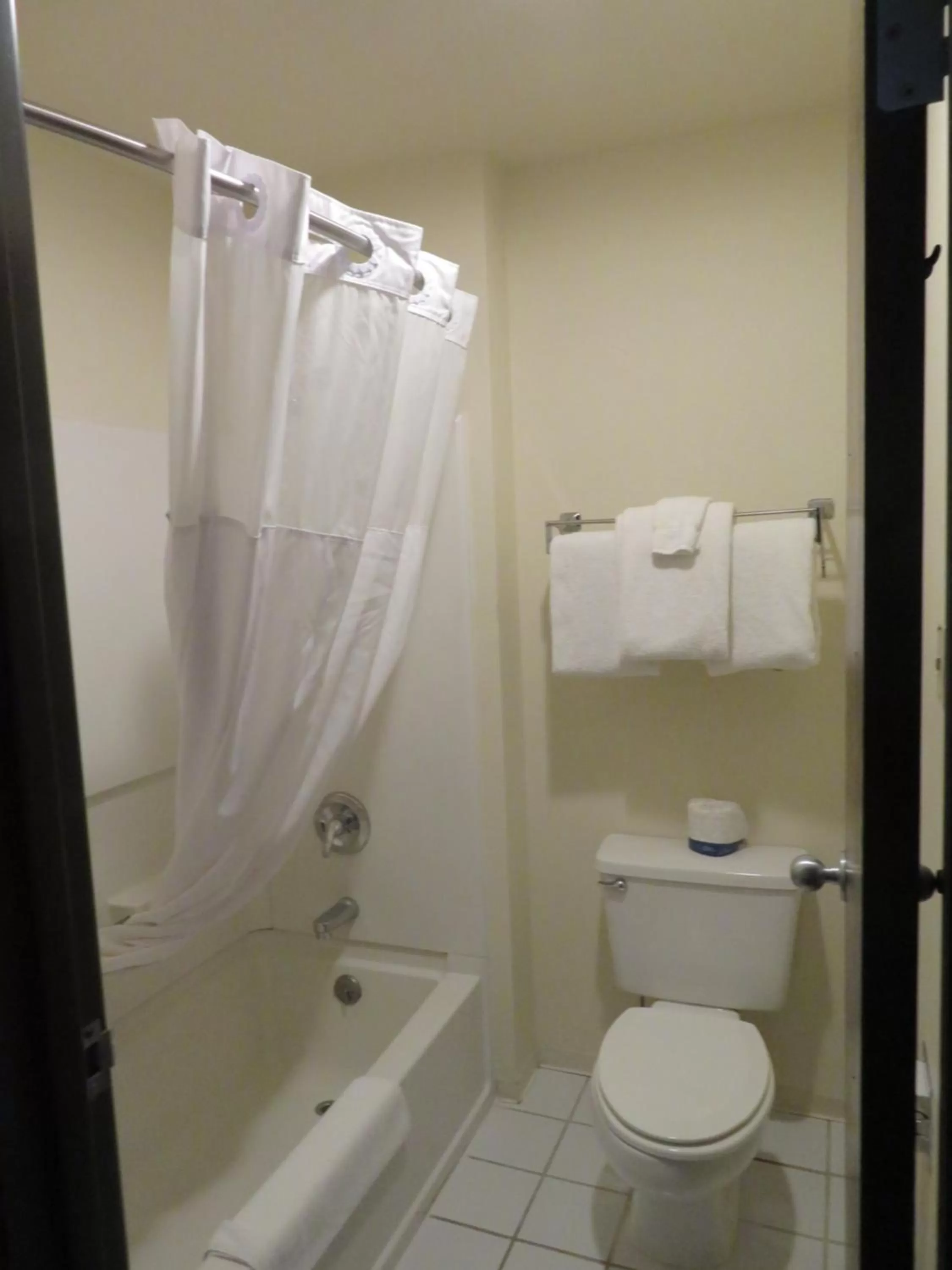 Bathroom in GreenTree Inn Montrose