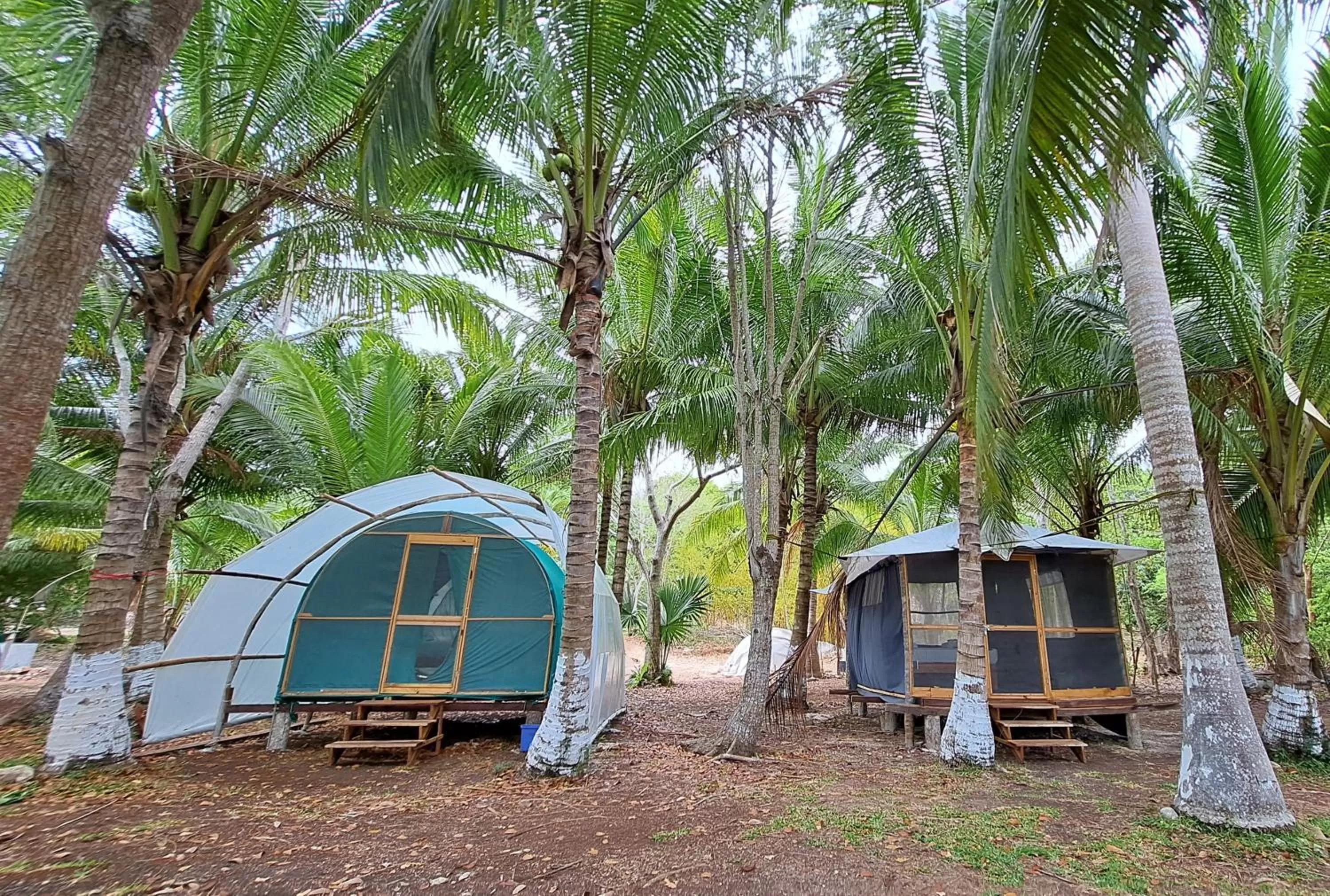 Property building in Cayuco Maya