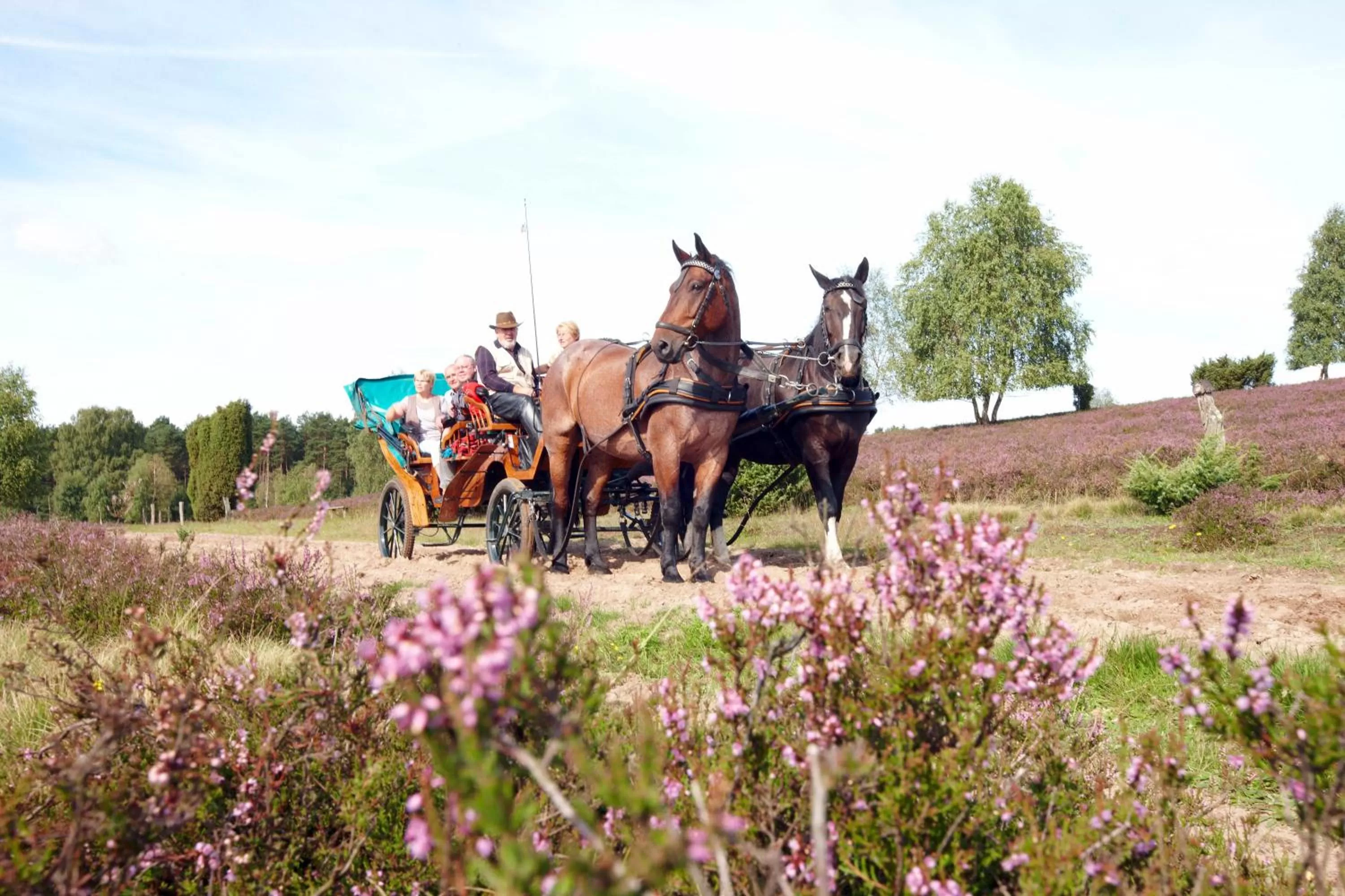 Area and facilities in Hotel Bockelmann