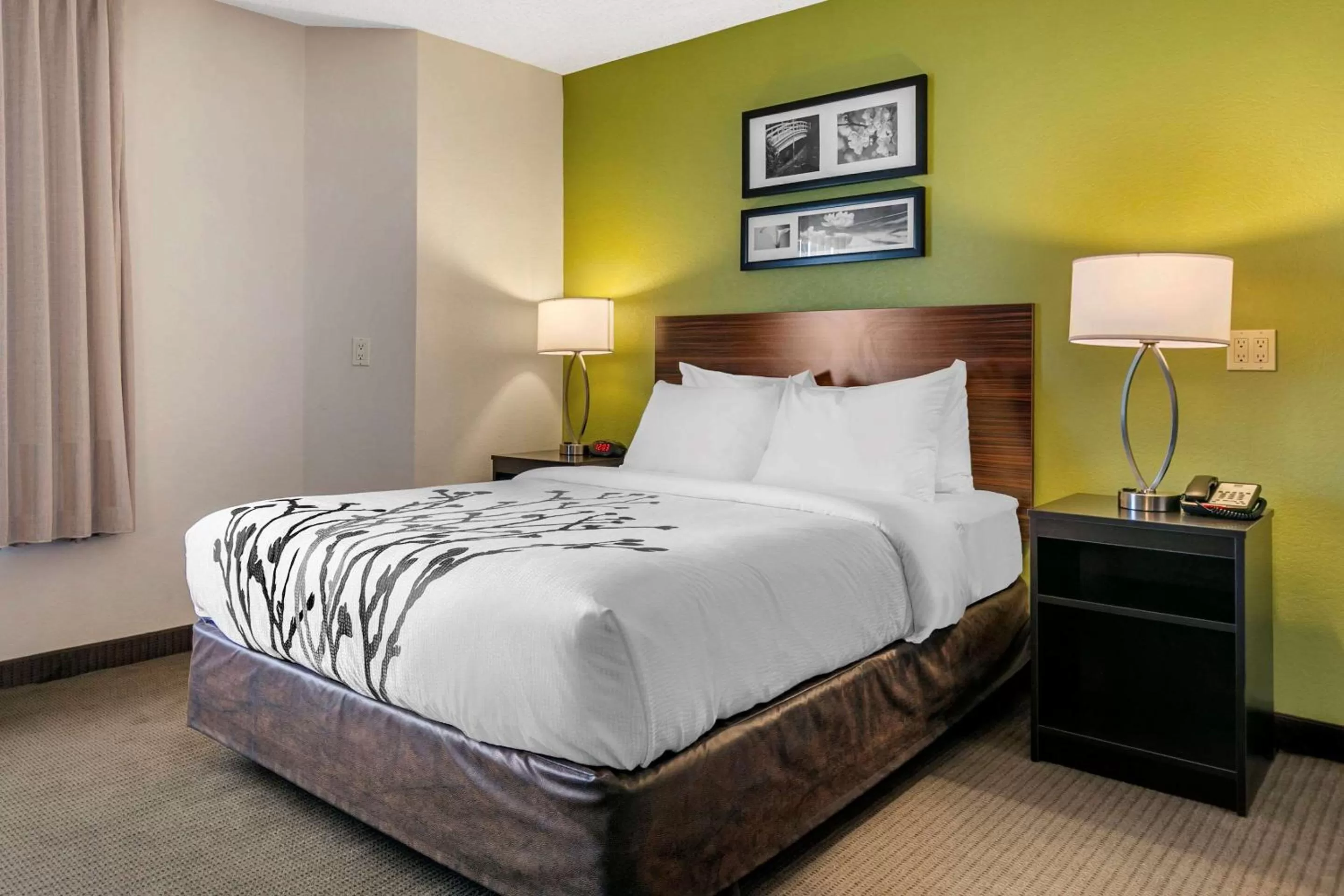 Queen Room - Disability Access/Non-Smoking in Sleep Inn Allentown-Fogelsville