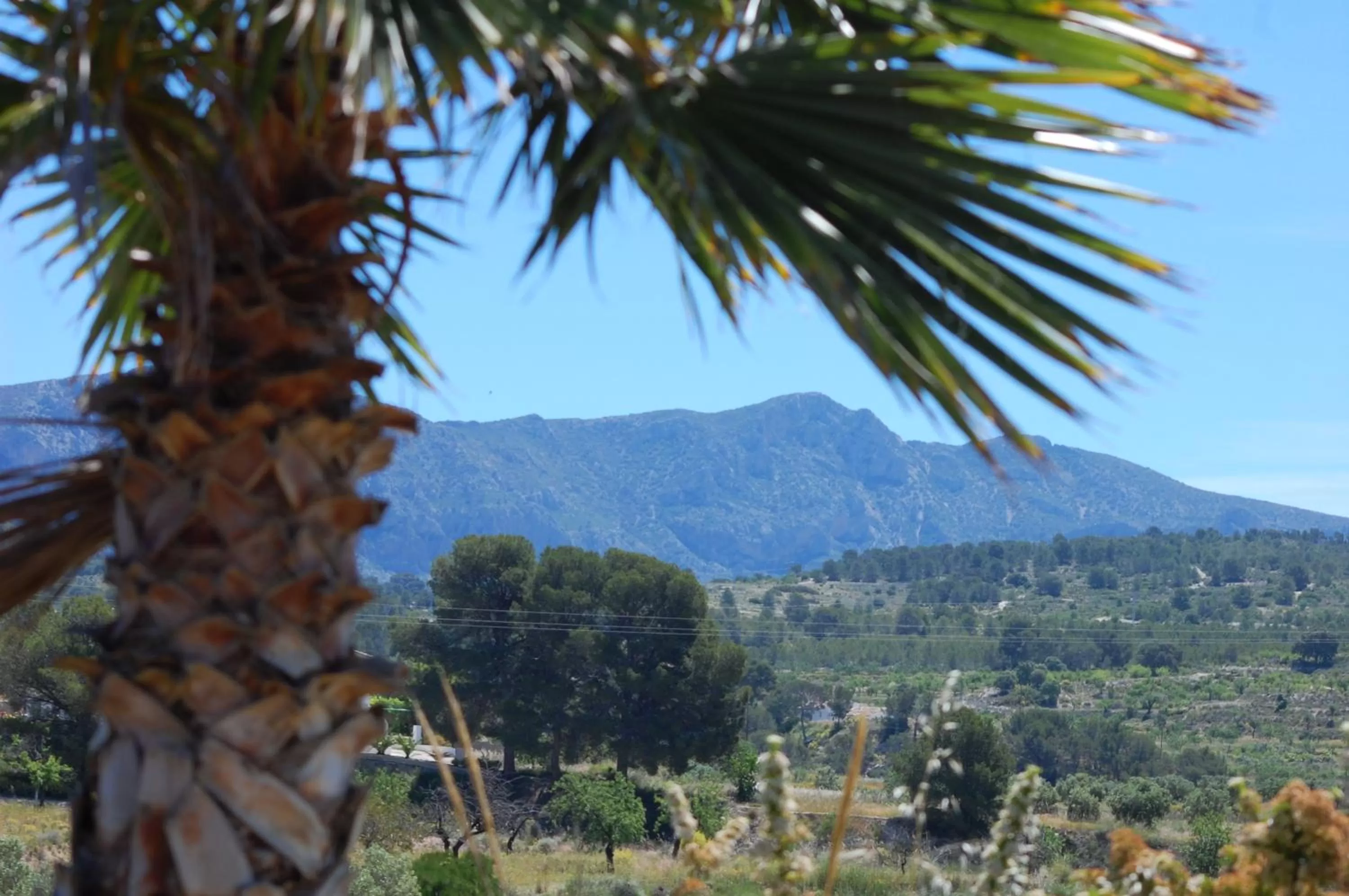 Natural landscape in El Pao Spa