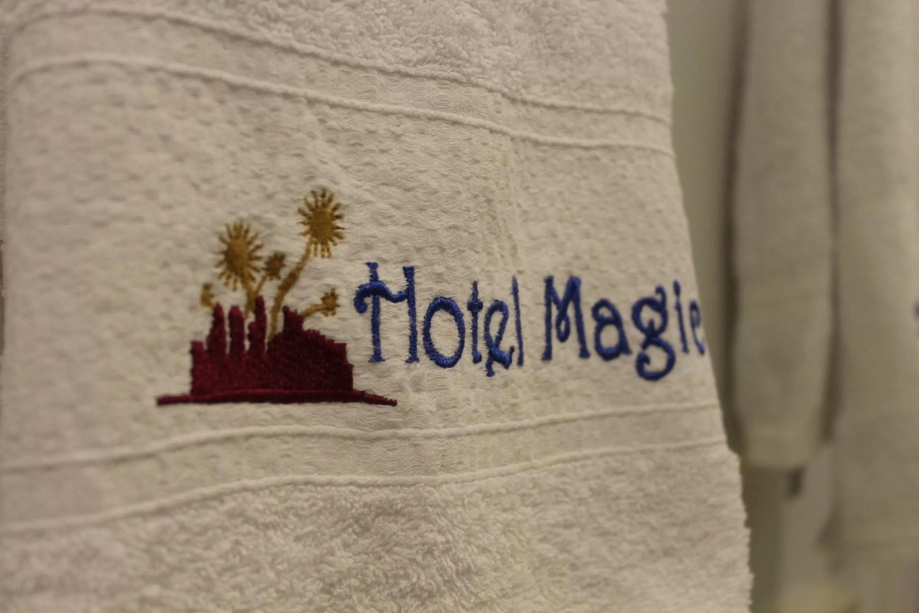 Property logo or sign in Hotel e Pousada Magic