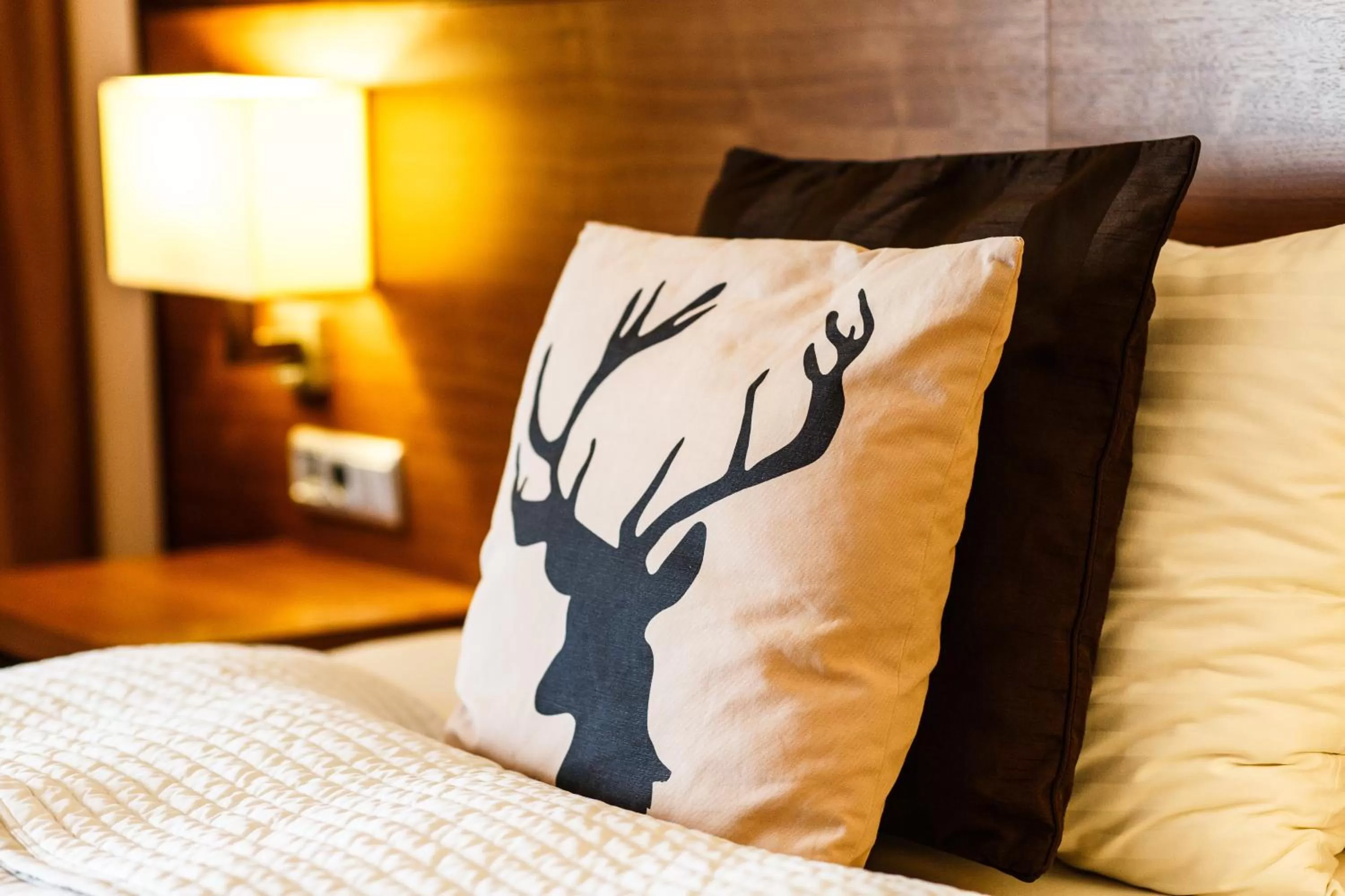 Photo of the whole room in Hotel Salzburg