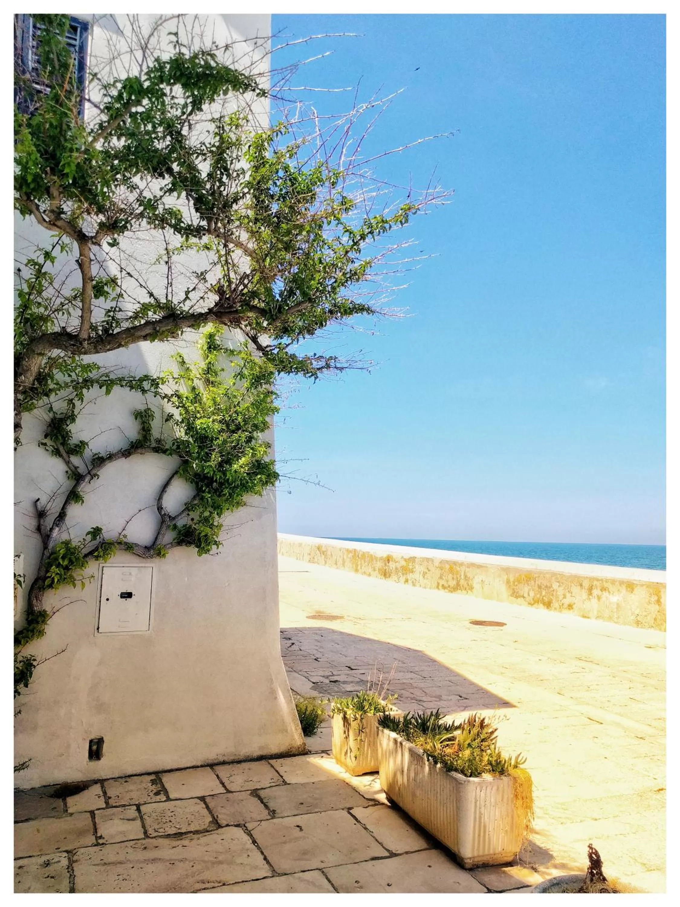 Pensione Al Pescatore