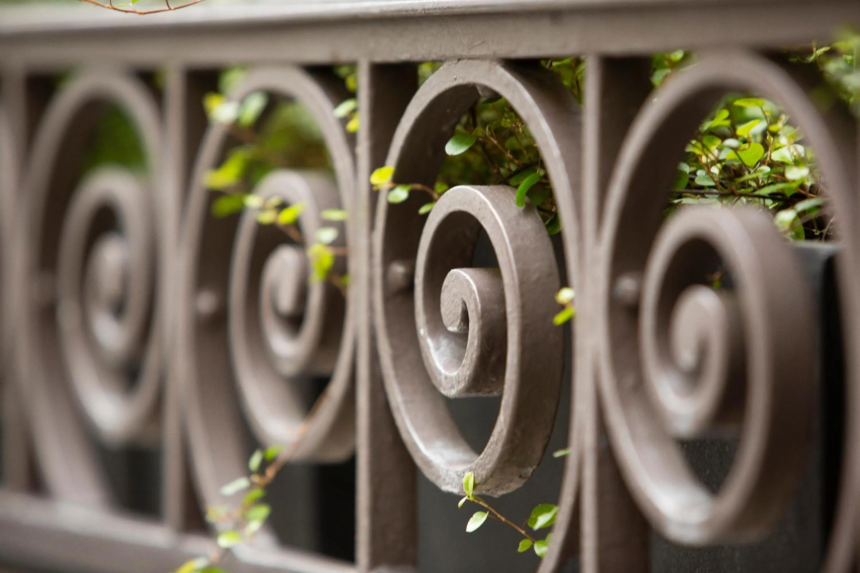 Decorative detail in Hôtel Molière