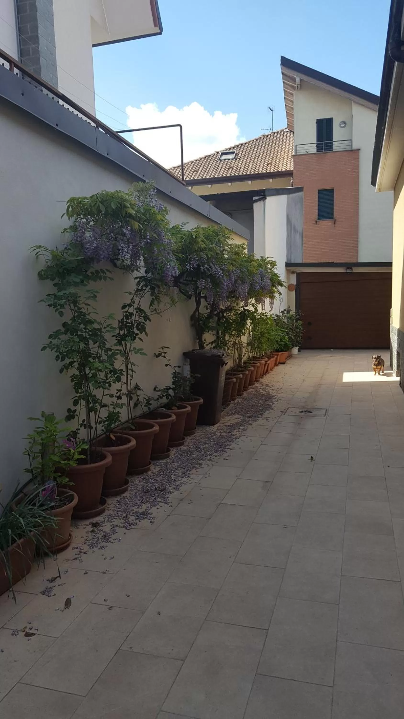 Garden in Monteceneri 9 B&b