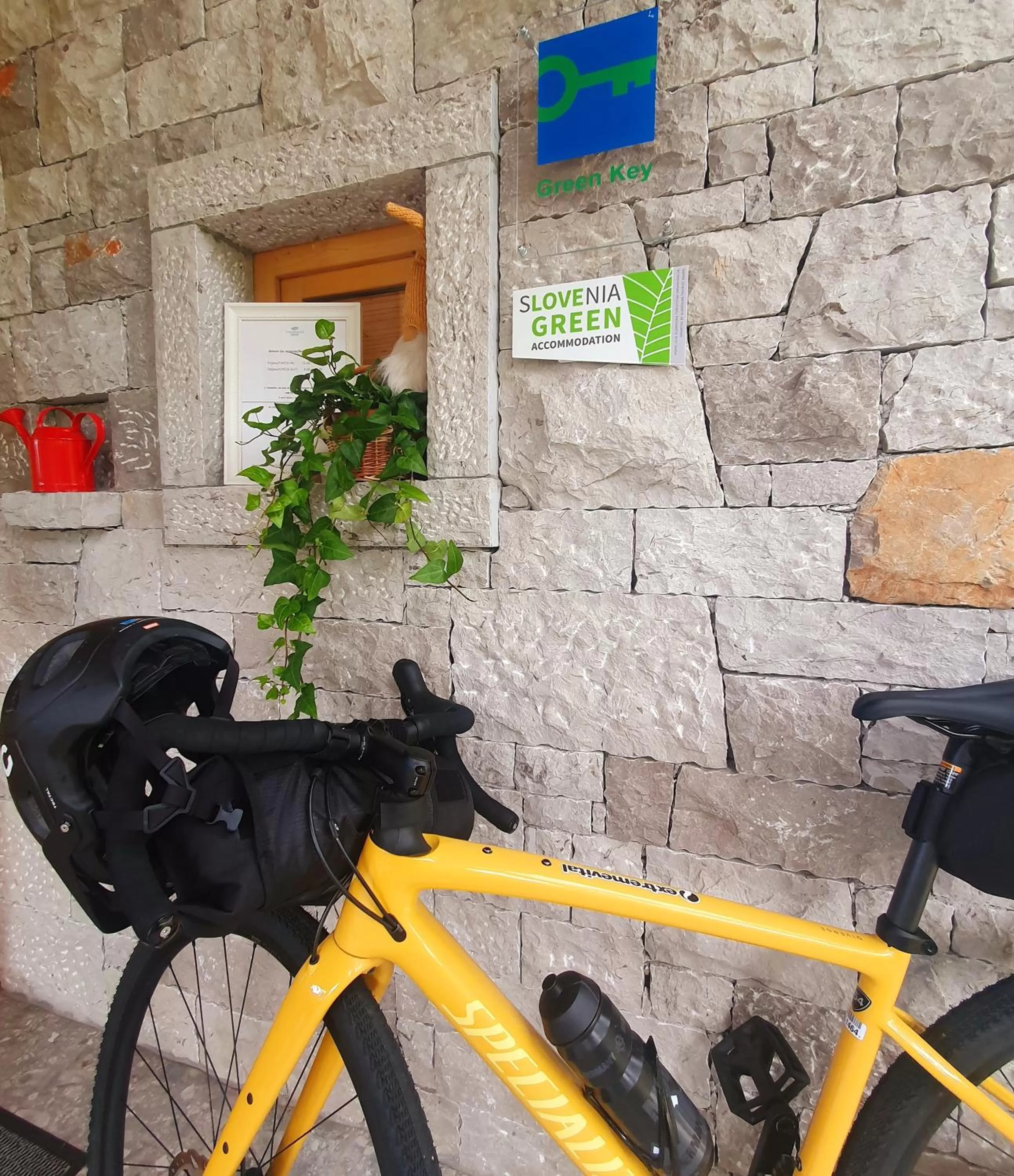 Cycling in Theodosius Forest Village - Glamping in Vipava valley