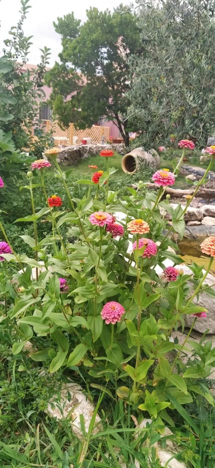 Garden in Albero della musica