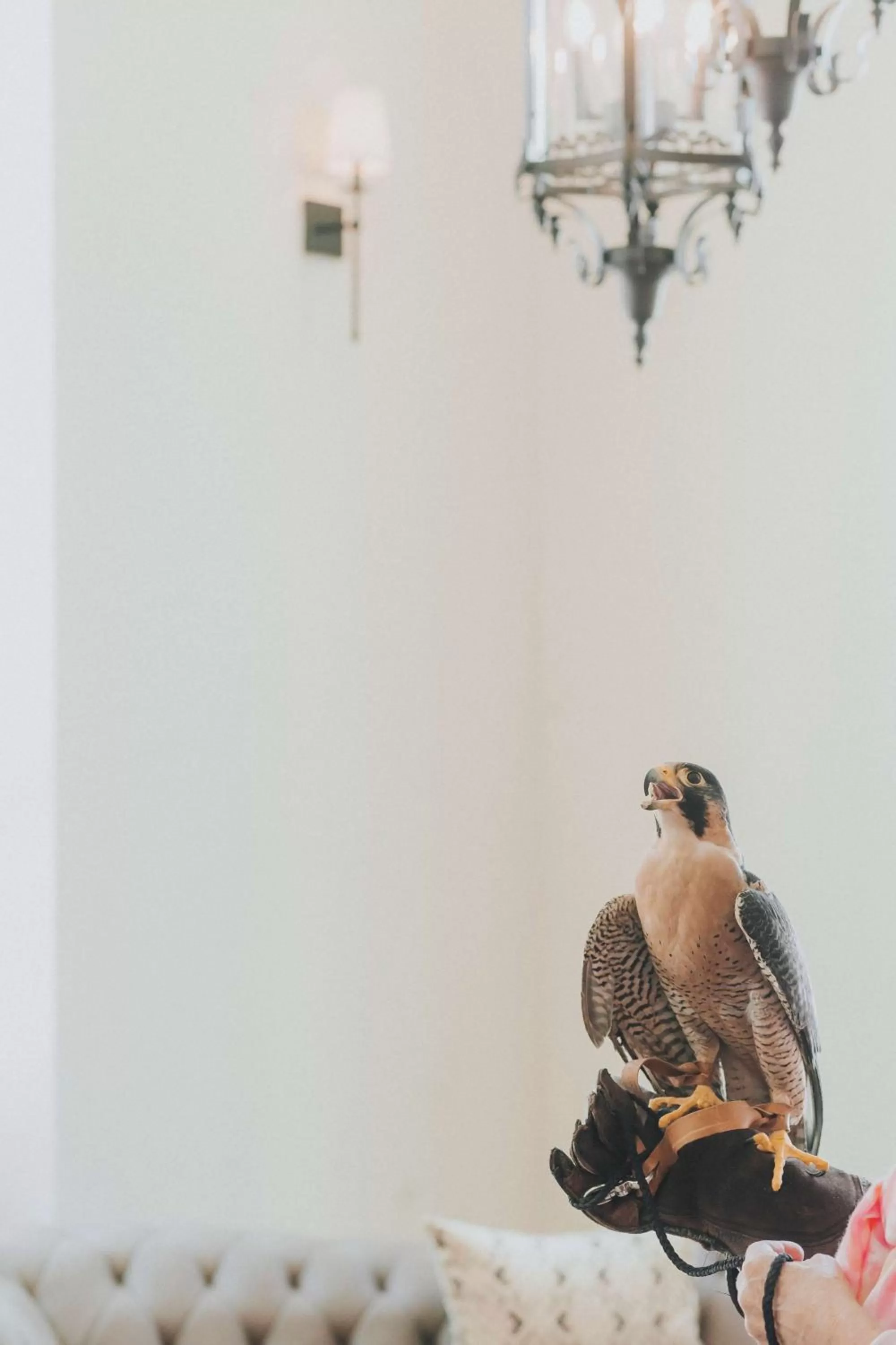 Property building in The Peregrine Omaha Downtown Curio Collection By Hilton