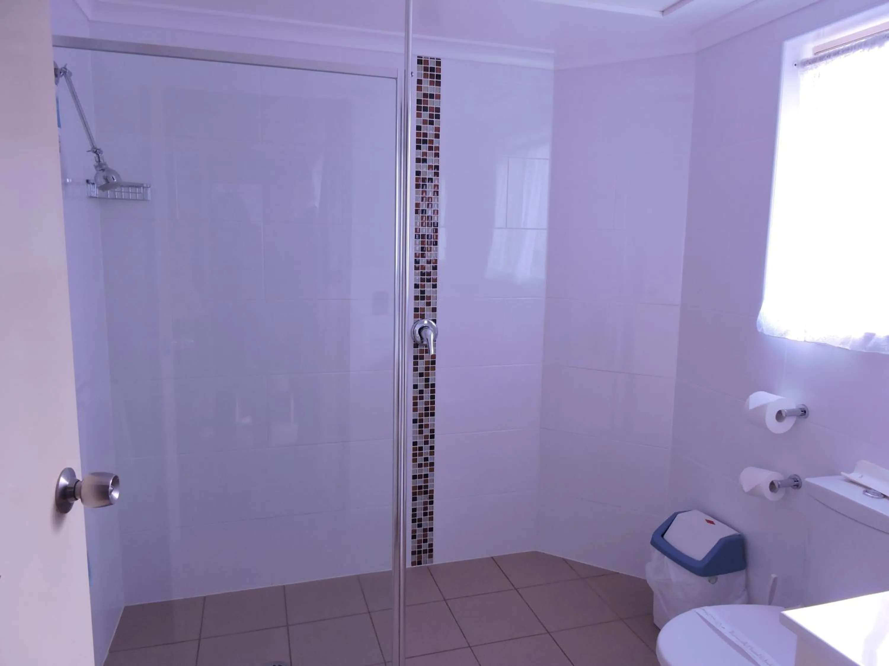 Shower in Acacia Snowy Motel