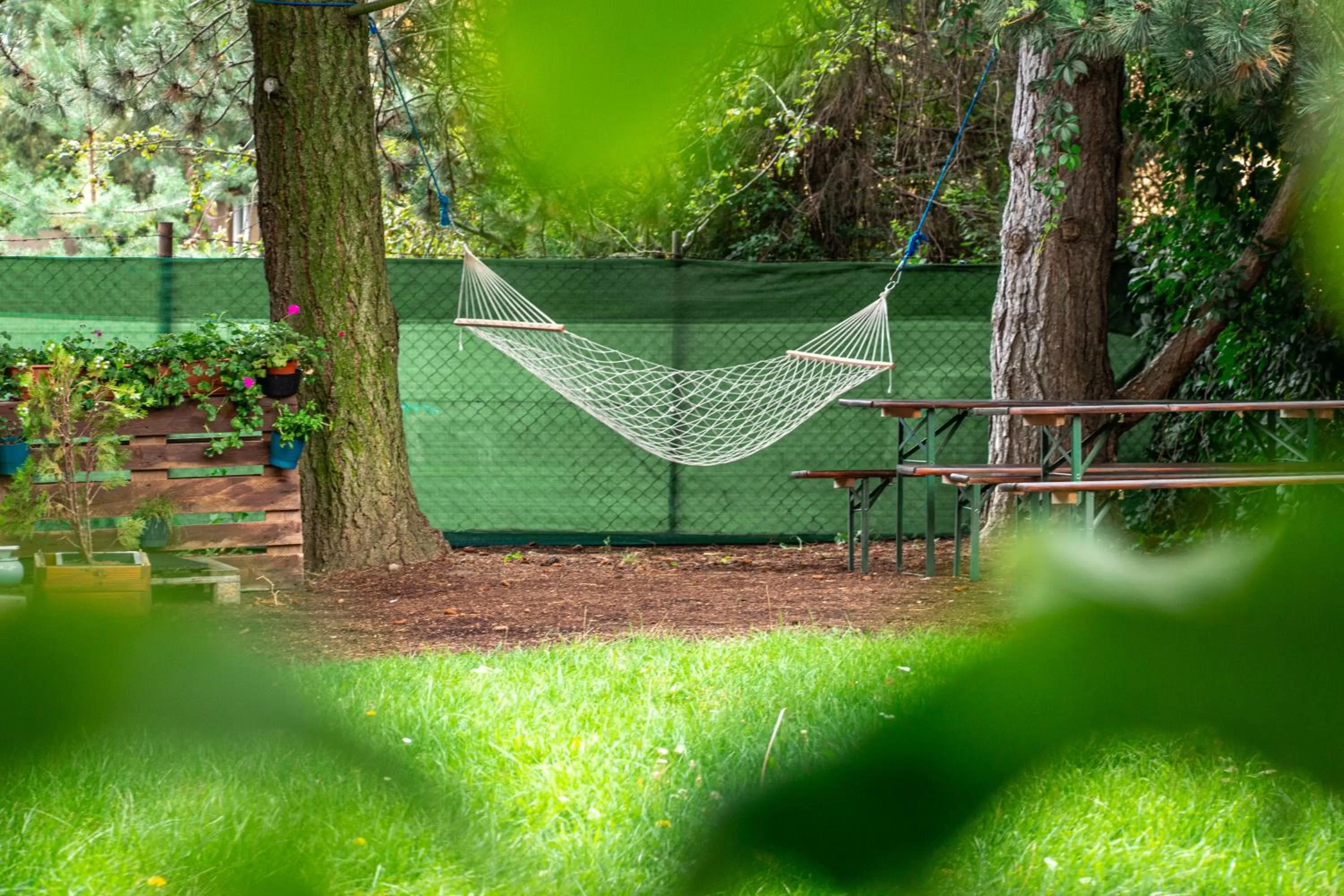 Activities, Other Activities in Hotel ATLAS