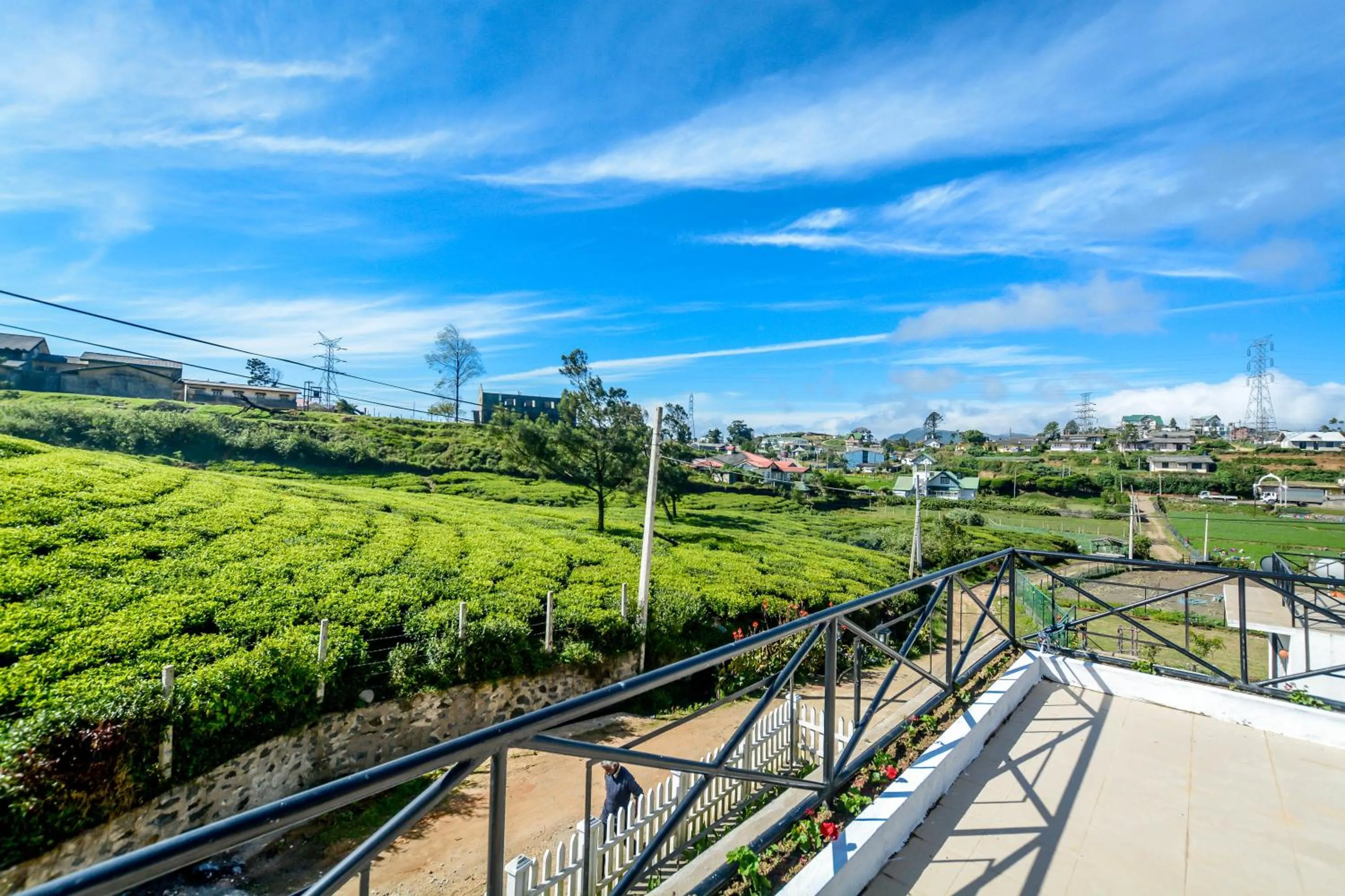 Street view in Villa Tea Fields