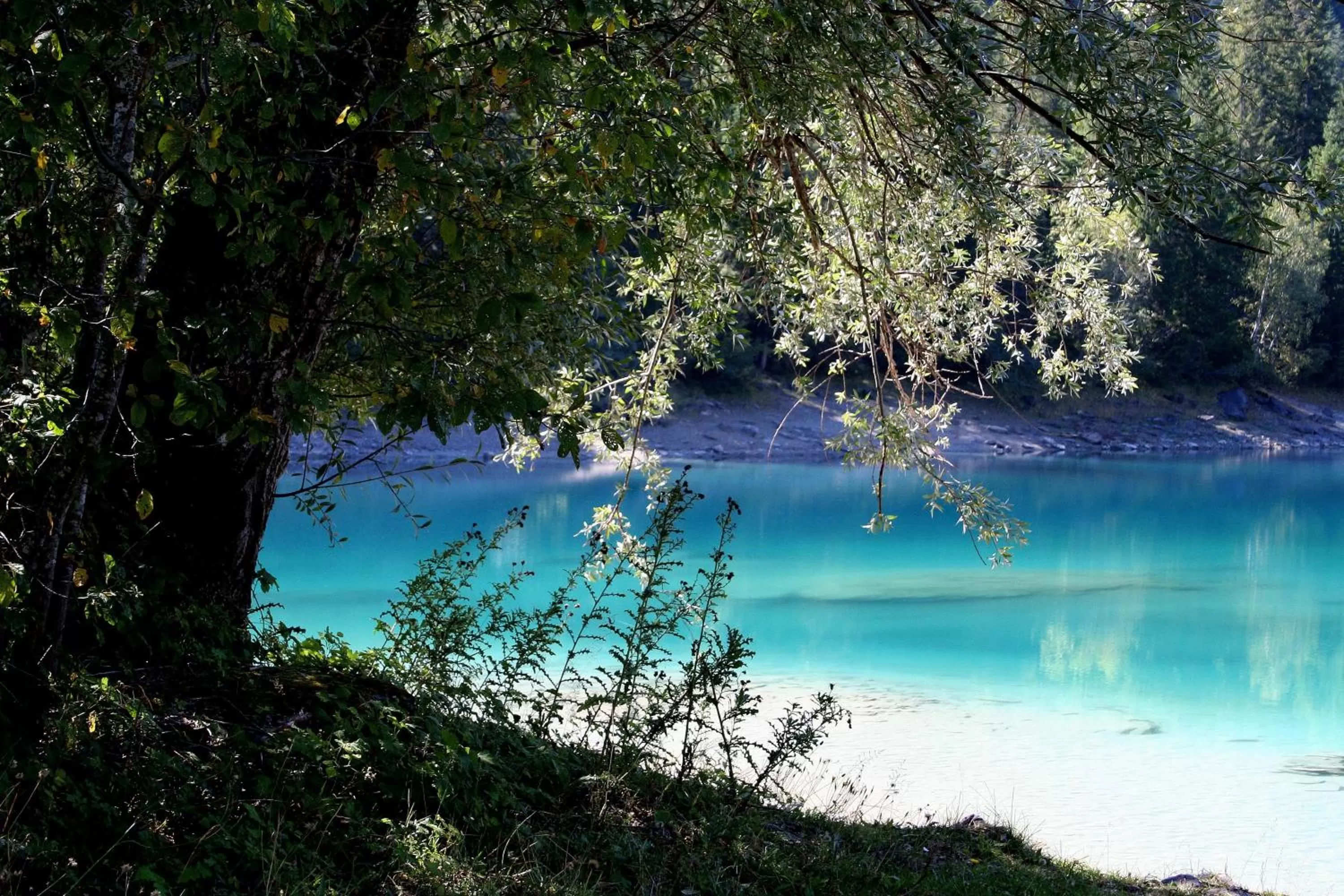 Hiking in Arena Lodge