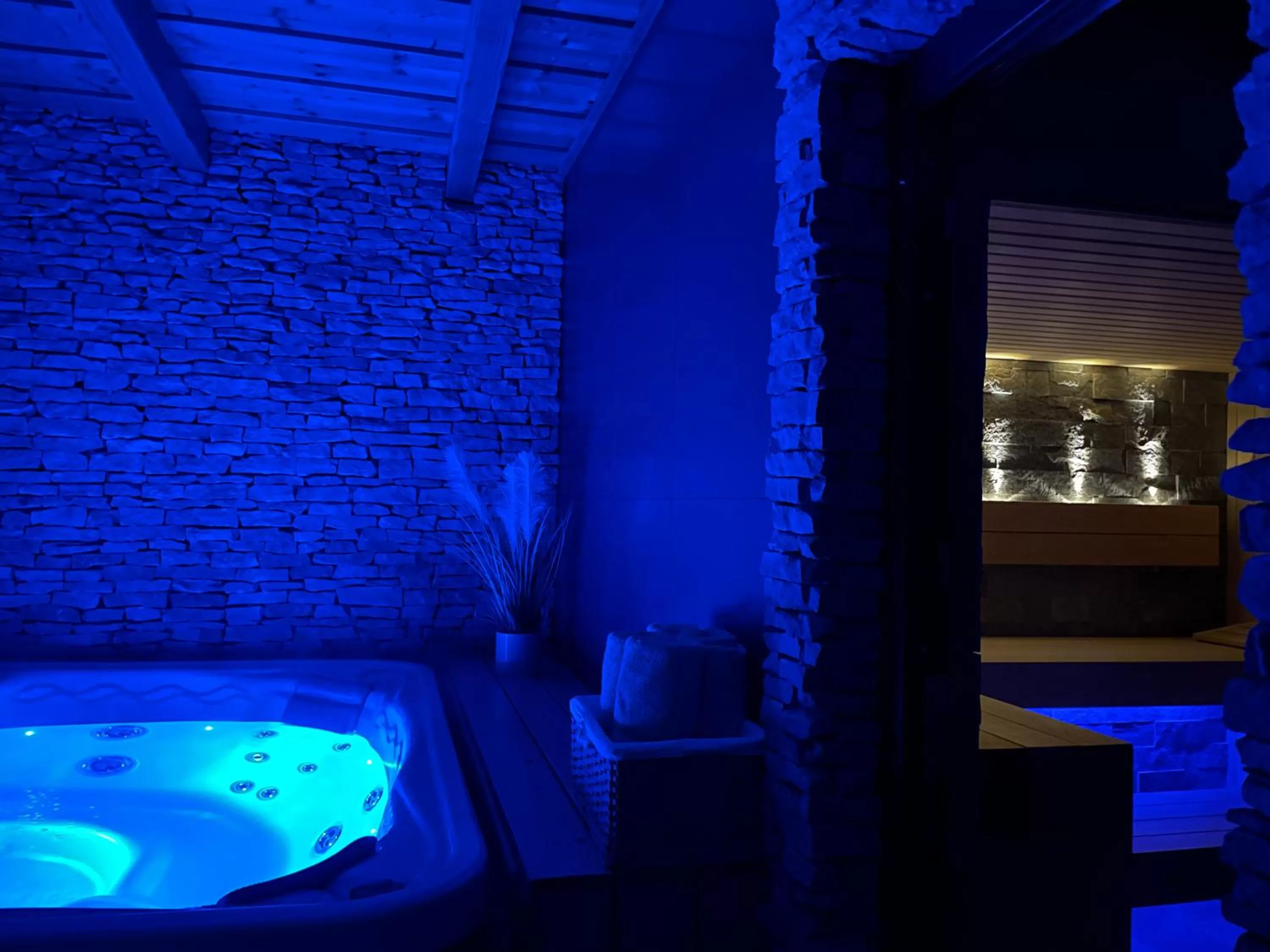Sauna, Swimming Pool in Villa Aruba & Private SPA Suites