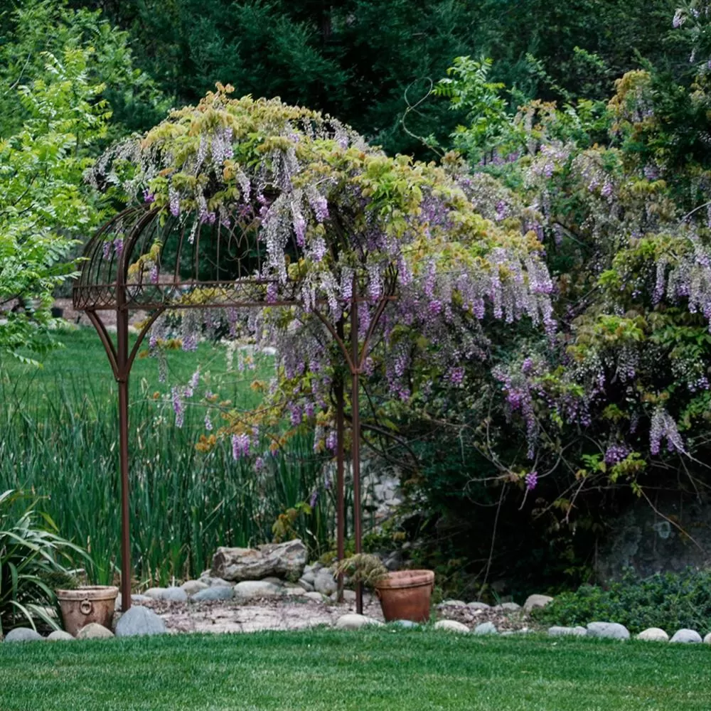 Garden in Bella Vista Bed and Breakfast