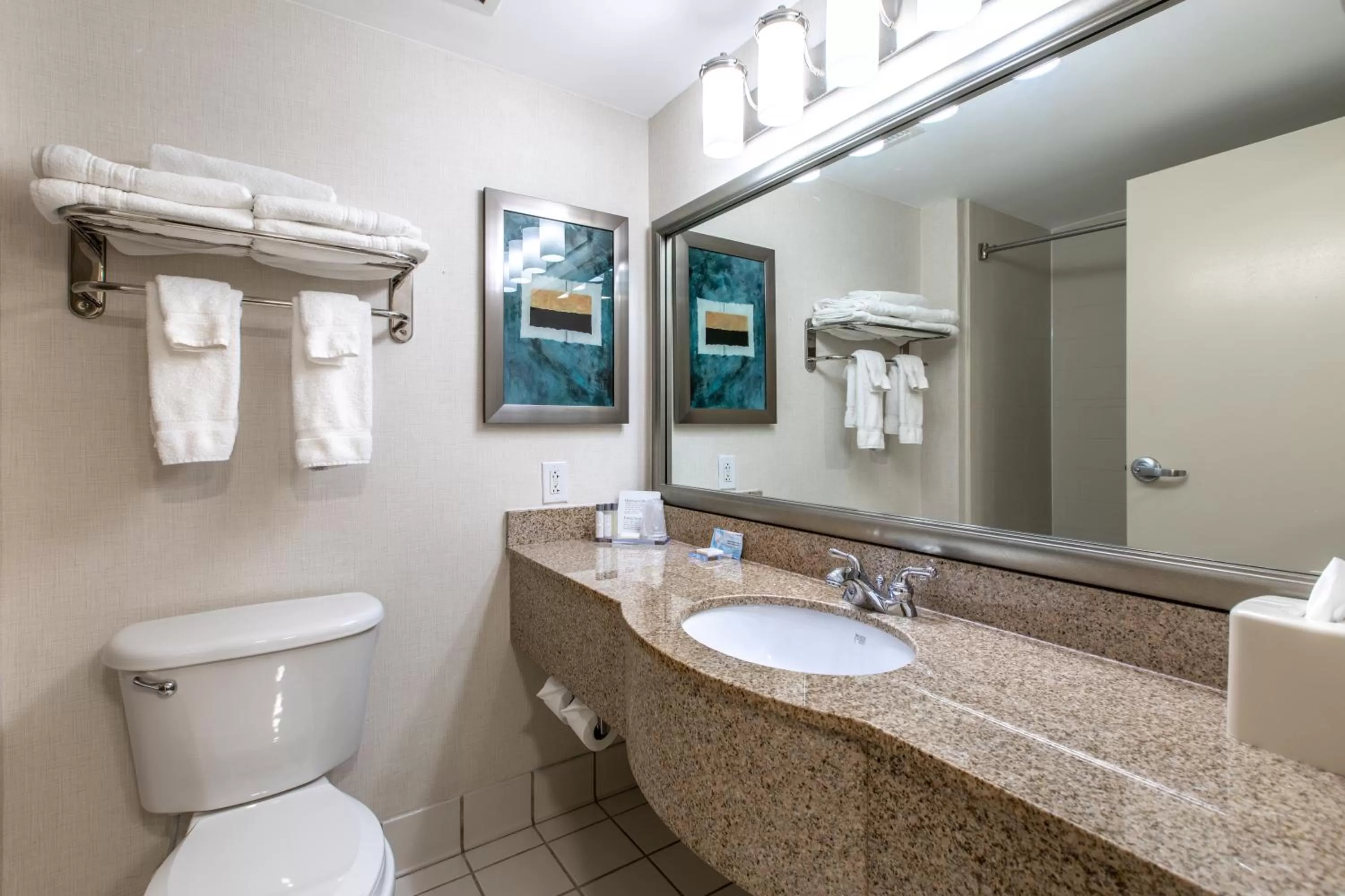 Bathroom in Wingate by Wyndham Charlotte Concord Mills/Speedway