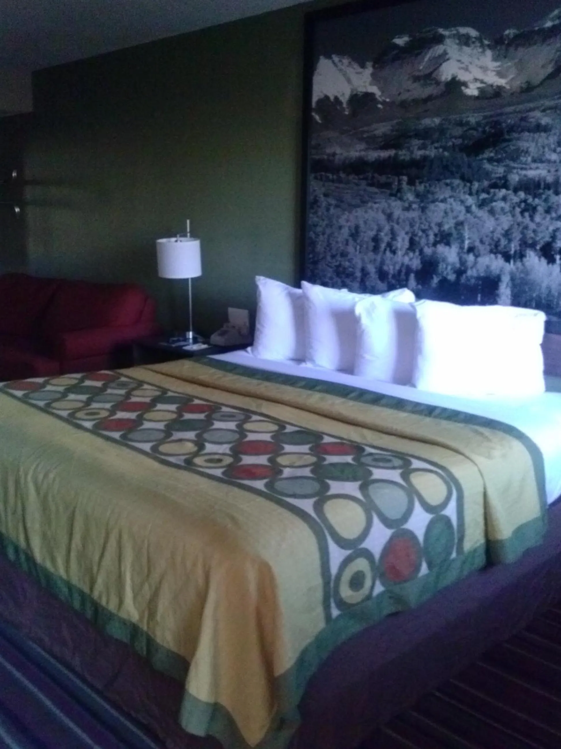 Bed in Super 8 by Wyndham Denver Central