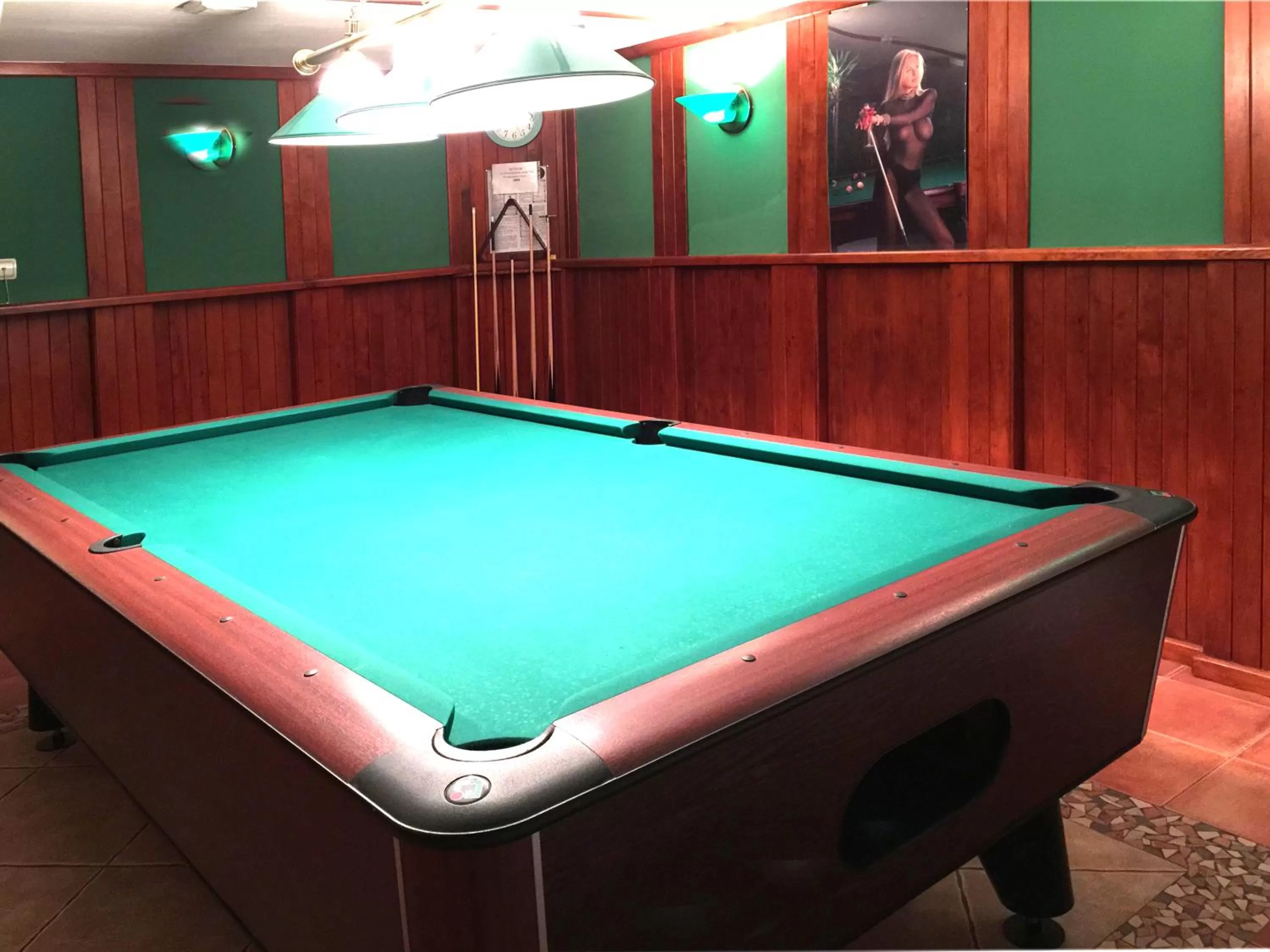 Billiard, Billiards in Economy room in Hotel Eney