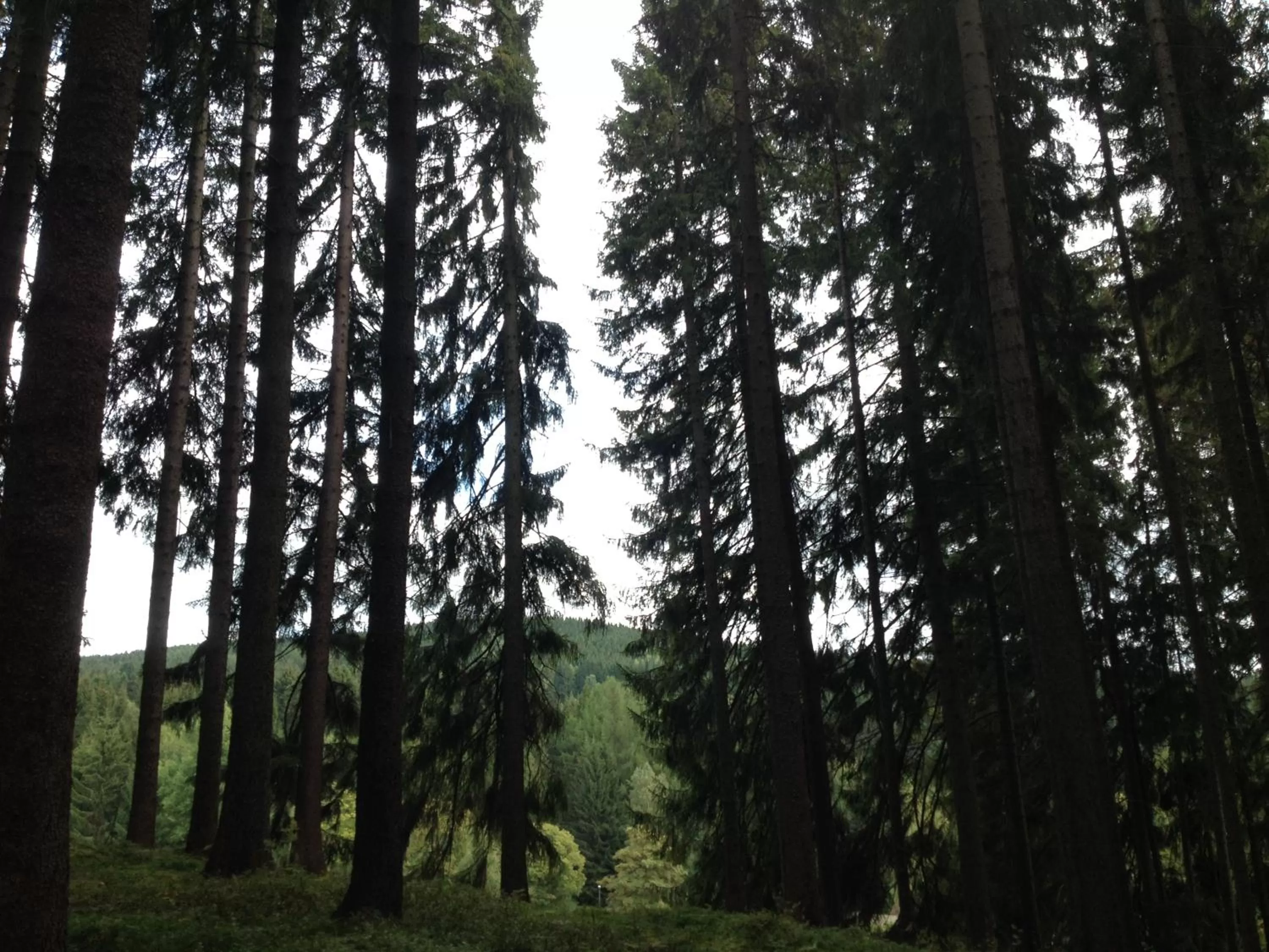 Natural landscape in Pension U Jelinka