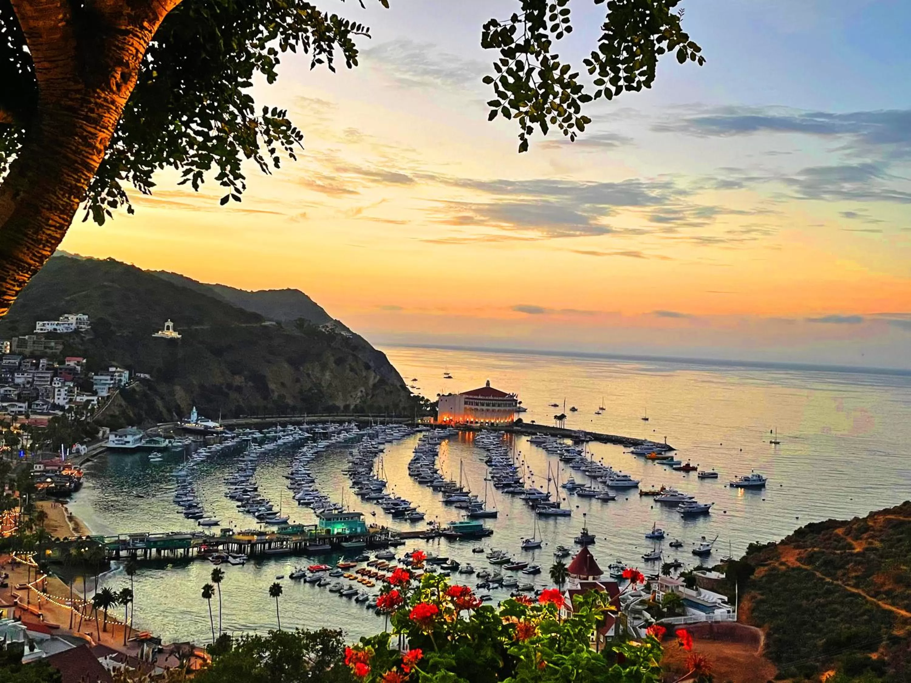 Nearby landmark in Catalina Courtyard Suites