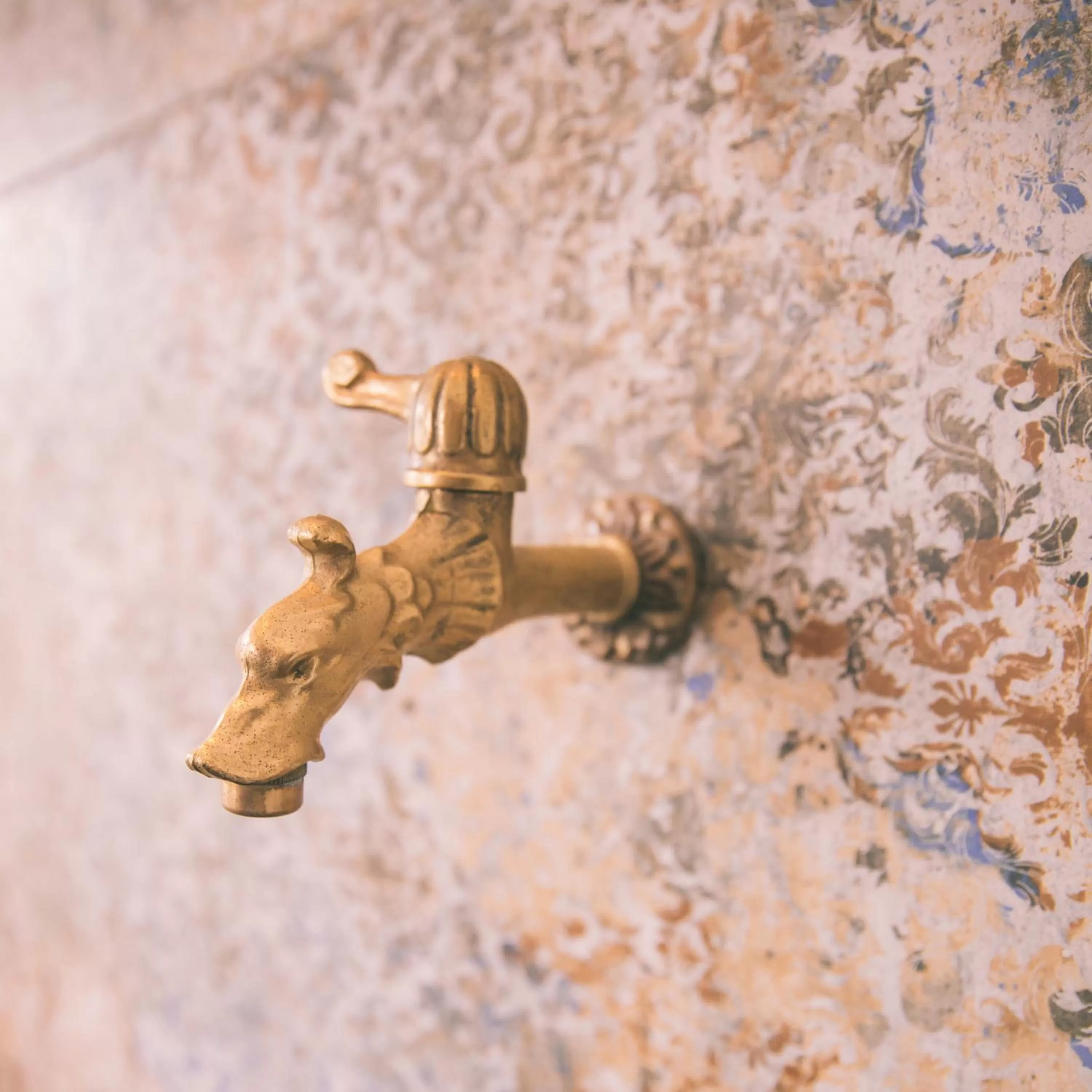 Banquet/Function facilities in Nefer, Haus