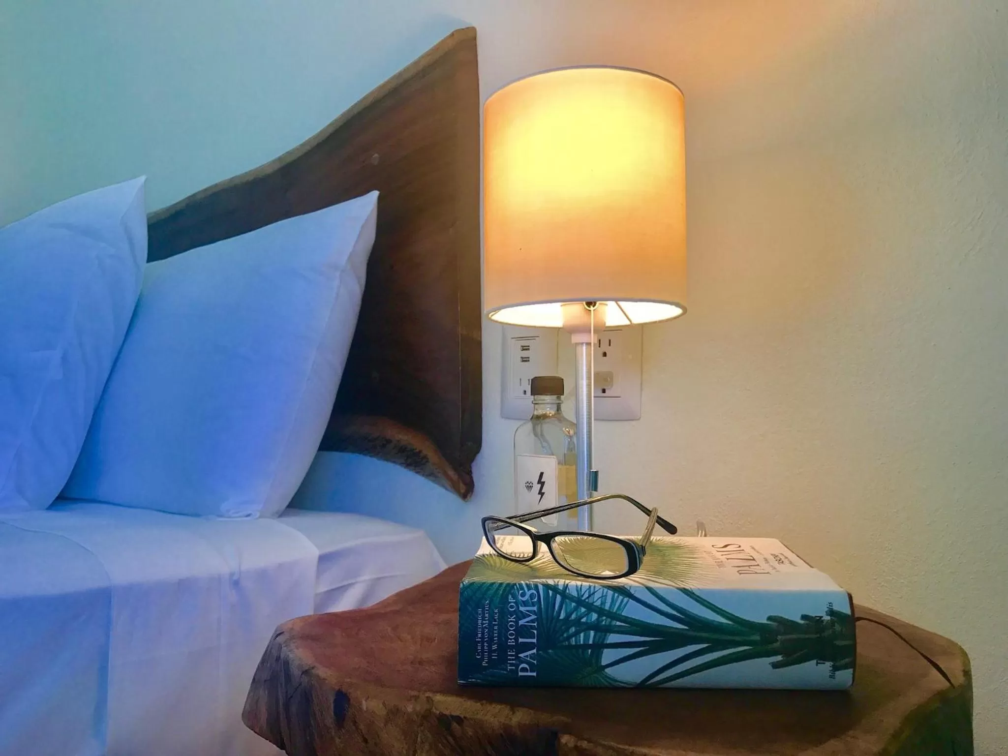 Decorative detail, Bed in La Palmita Budget Boutique Hotel