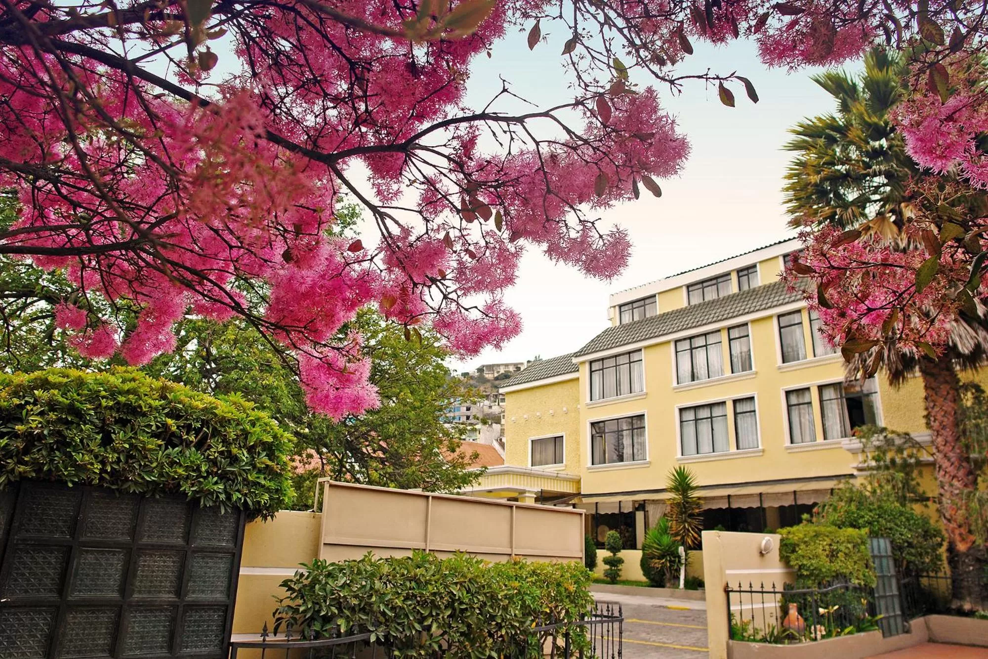 Property building in Hotel Florida