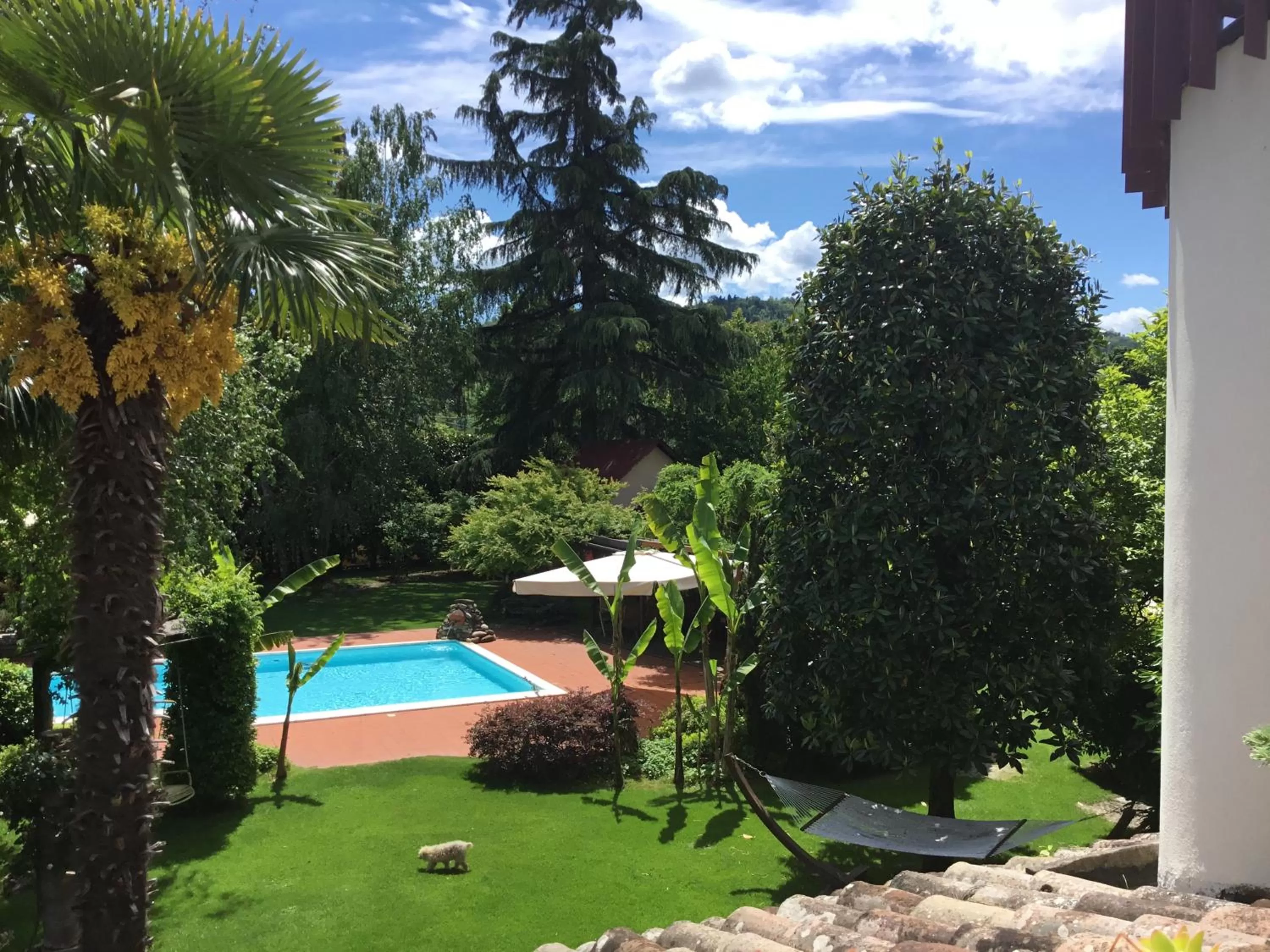 Pool view in La Pergola B&B