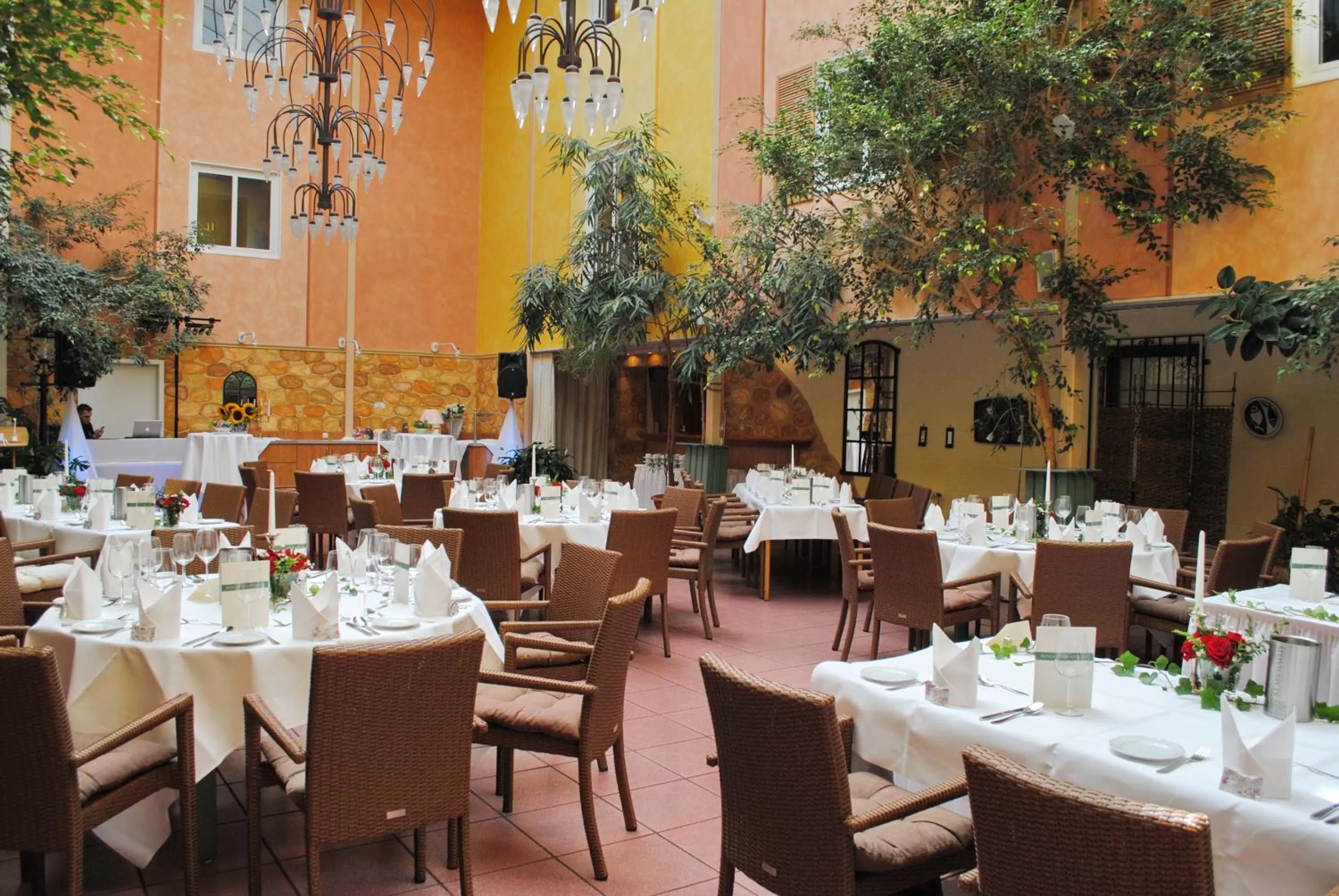 Patio in Hotel Paulsen