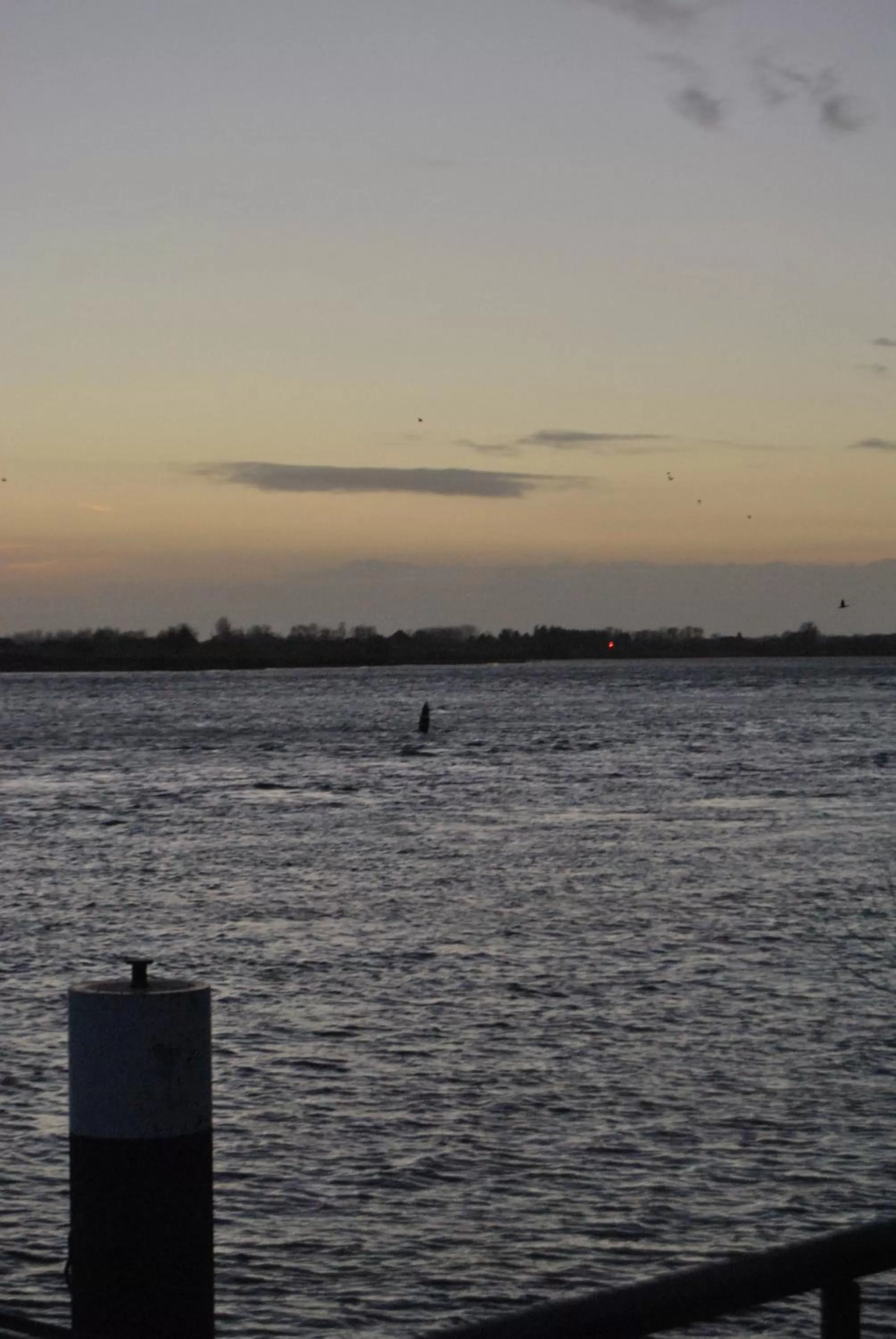 Natural landscape in Achilleon III