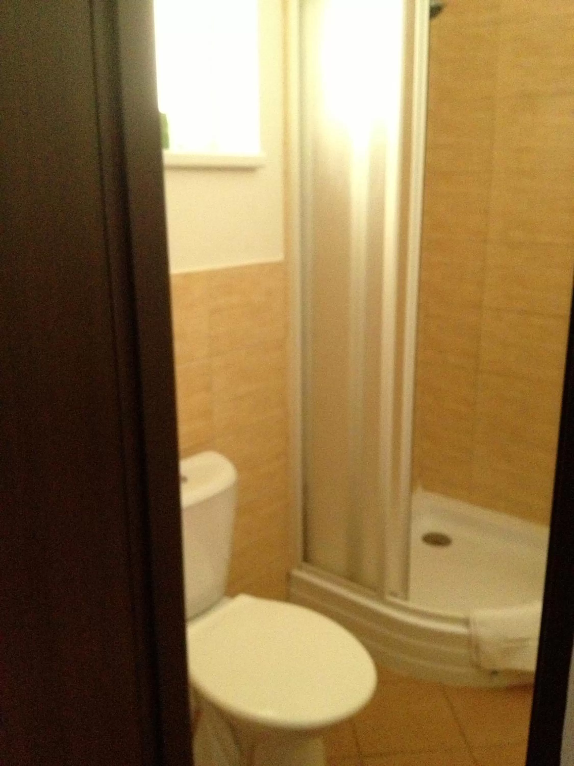 Shower, Bathroom in Hotel Sport Mlada Boleslav