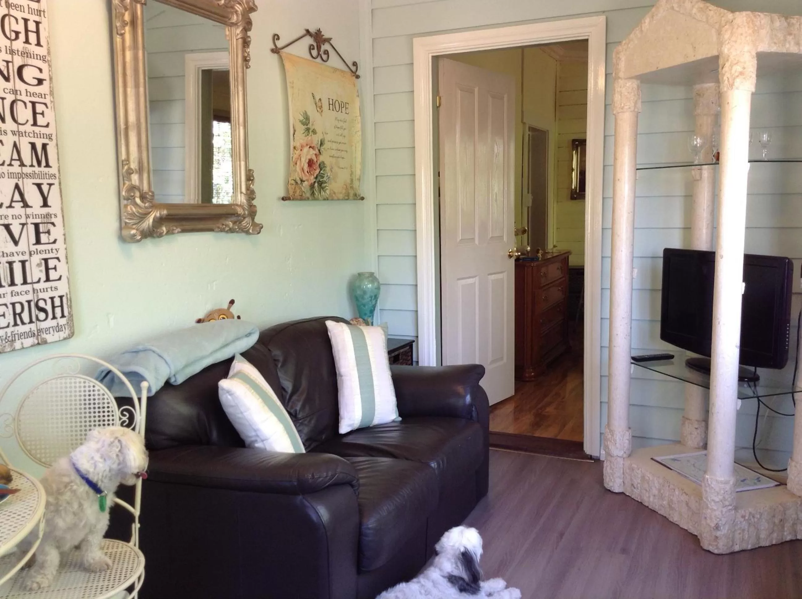 Living room in Must Love Dogs B&B & Self Contained Cottage