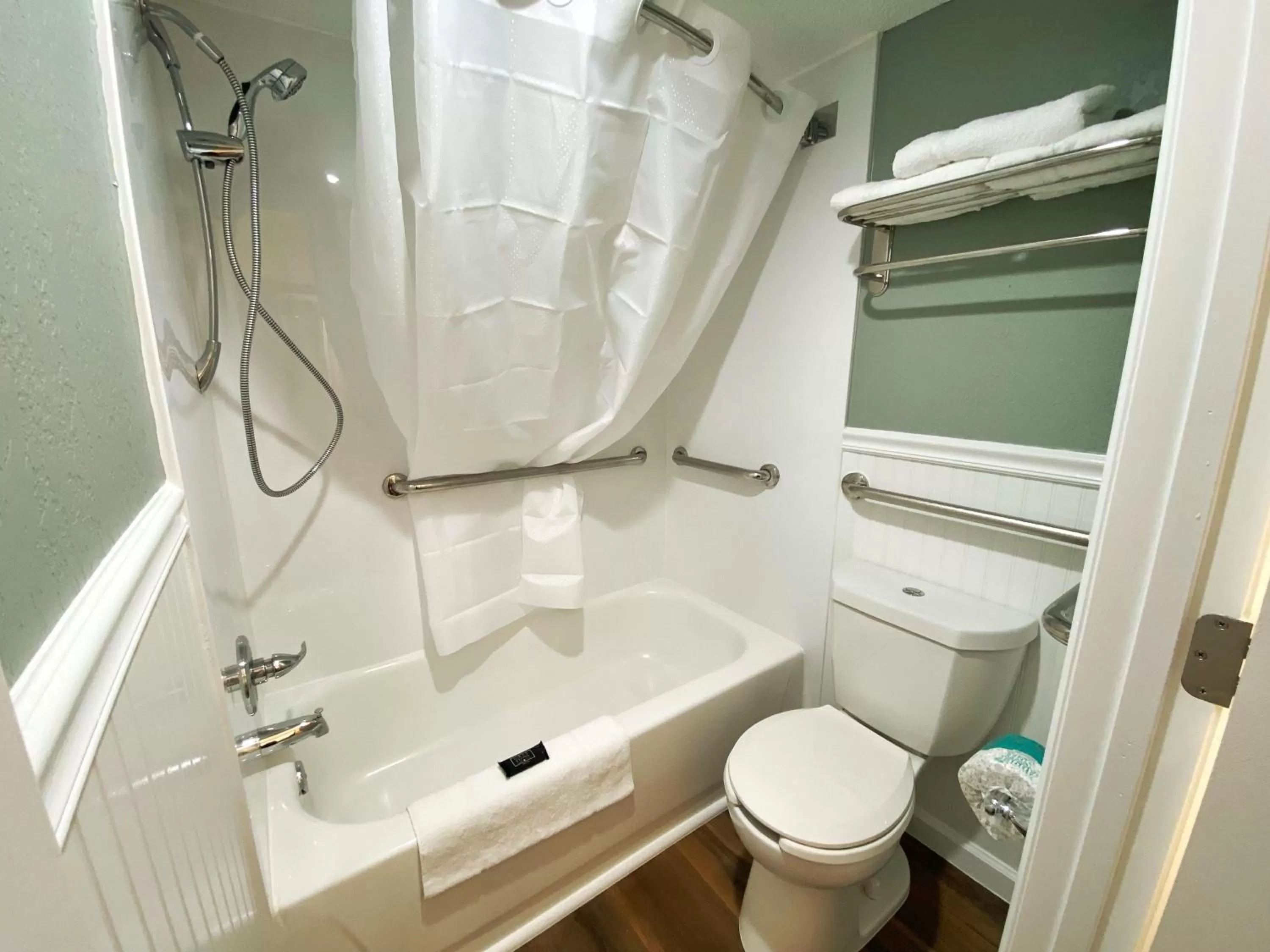 Toilet in Roadstar Hotel Zephyrhills