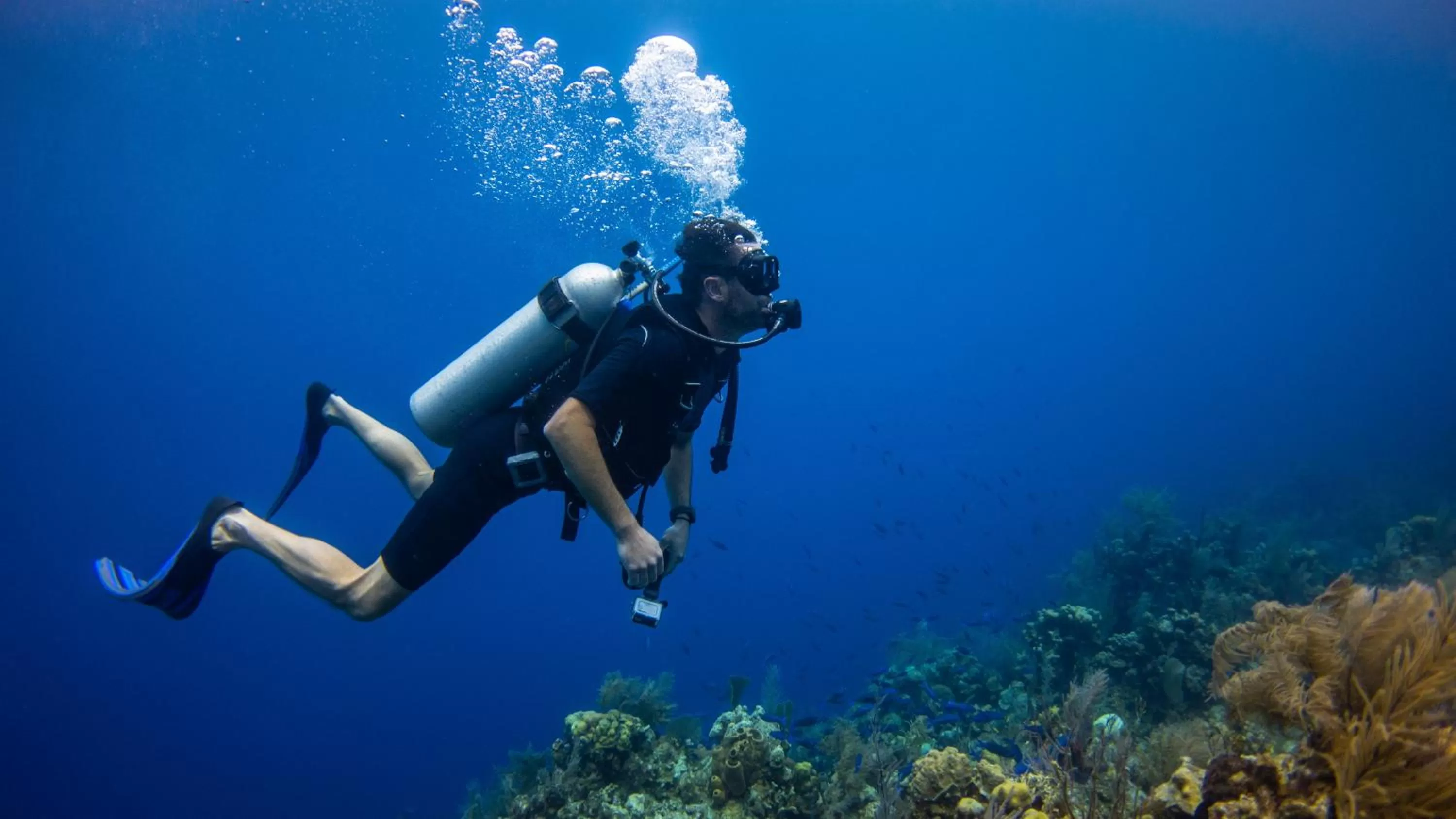 Diving in Portofino Beach Resort-An Authentic Island Escape!